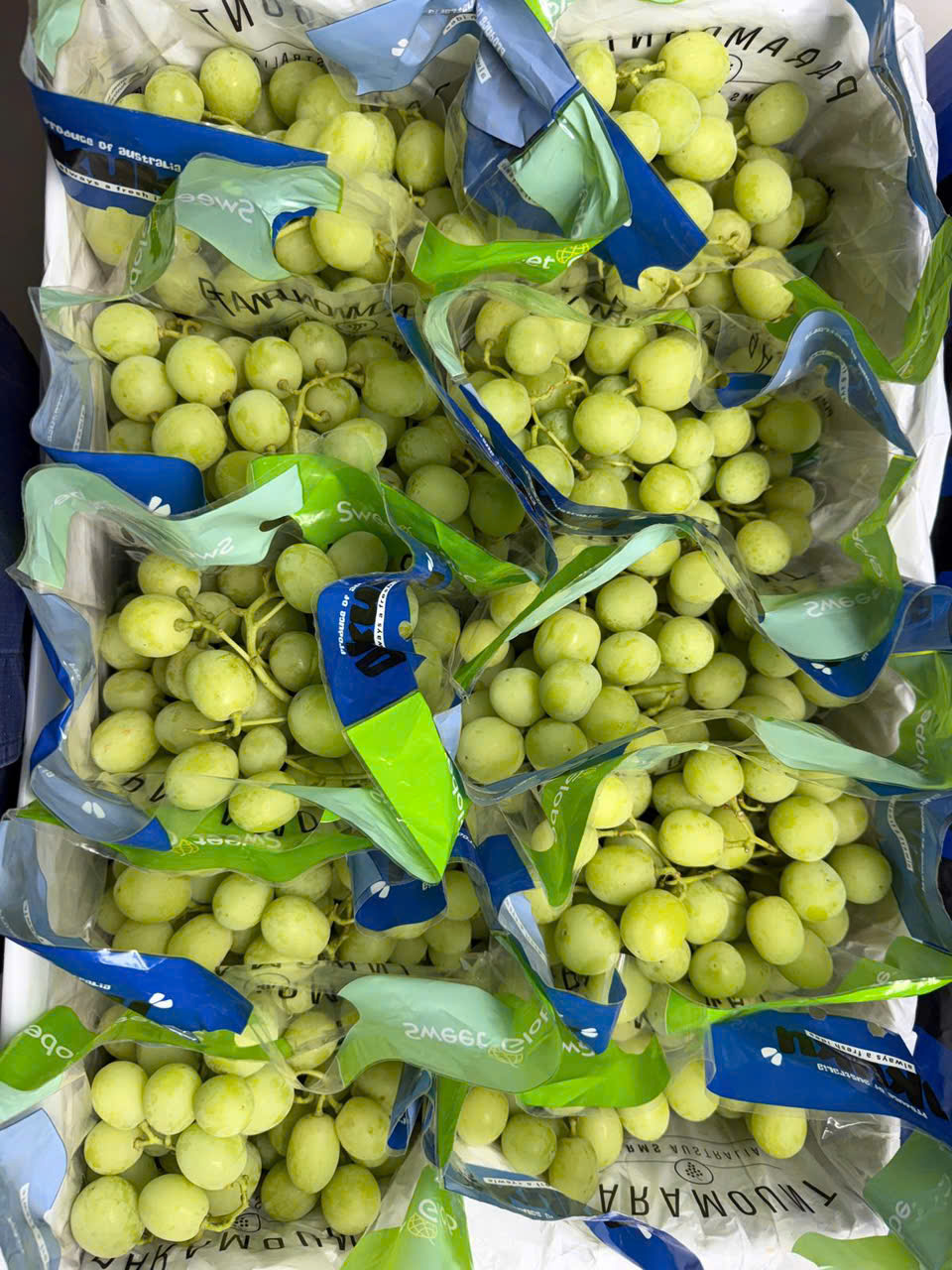 Nho Xanh Úc Okuku Sweet Globe