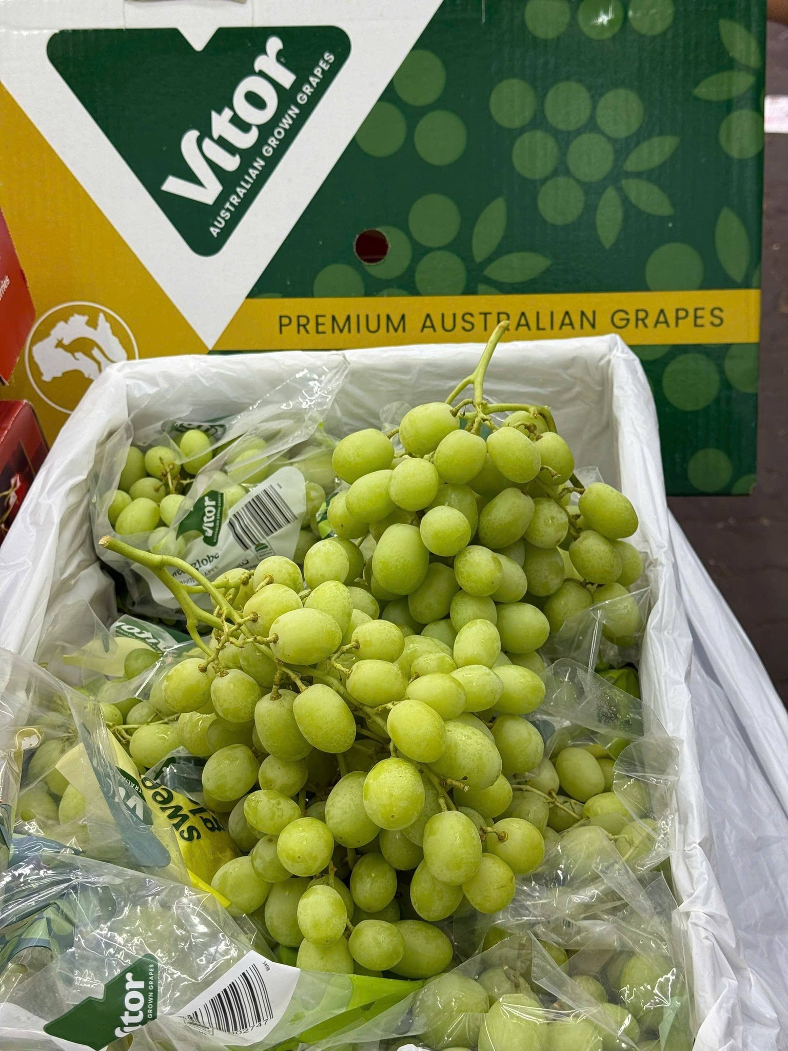 Nho Xanh Úc Vitor Sweet Globe