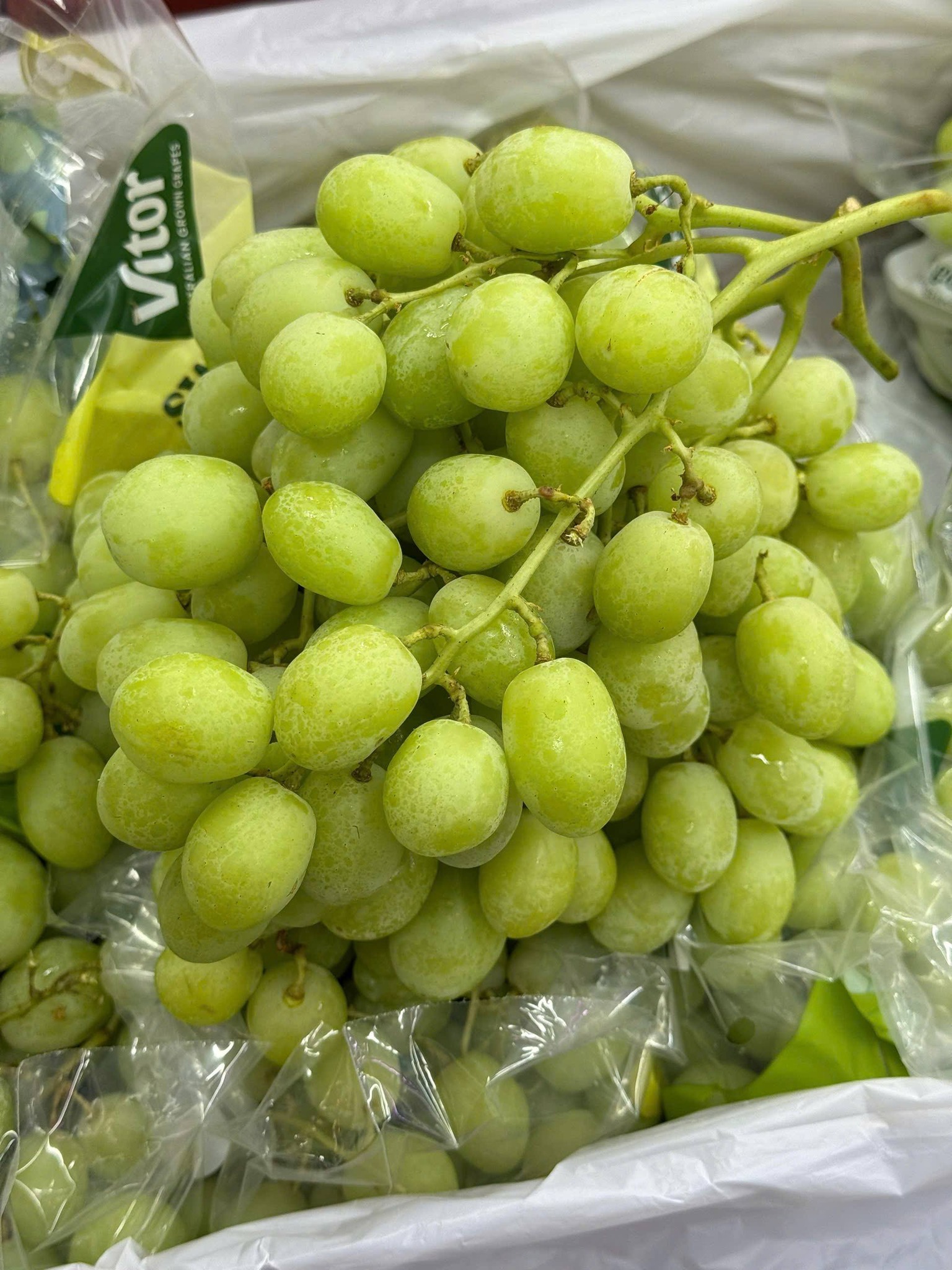 Nho Xanh Úc Vitor Sweet Globe