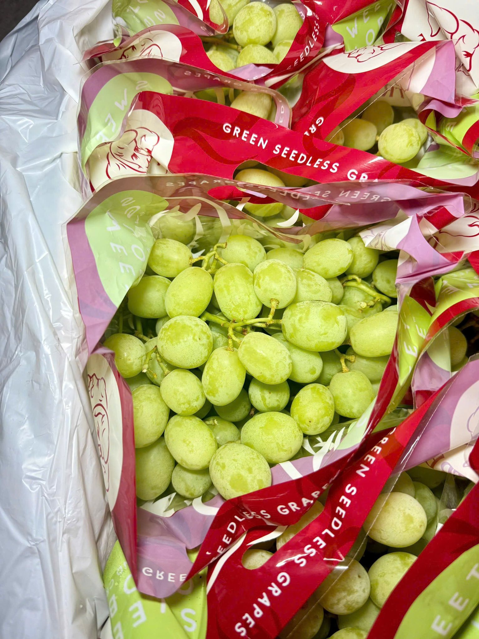 Nho Xanh Úc Traviso Sweet Globe