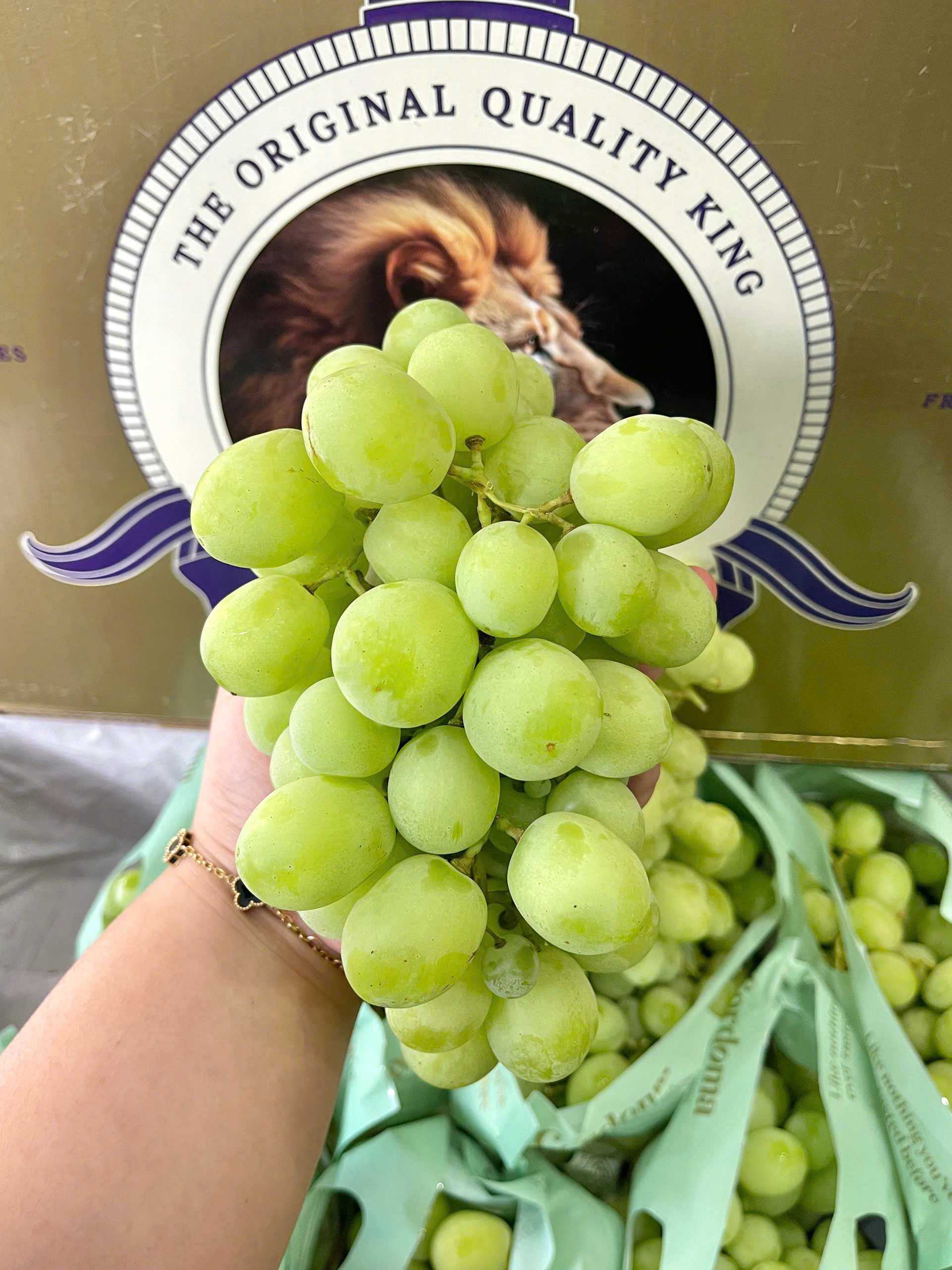 Nho Xanh Úc Cordoma Sweet Globe