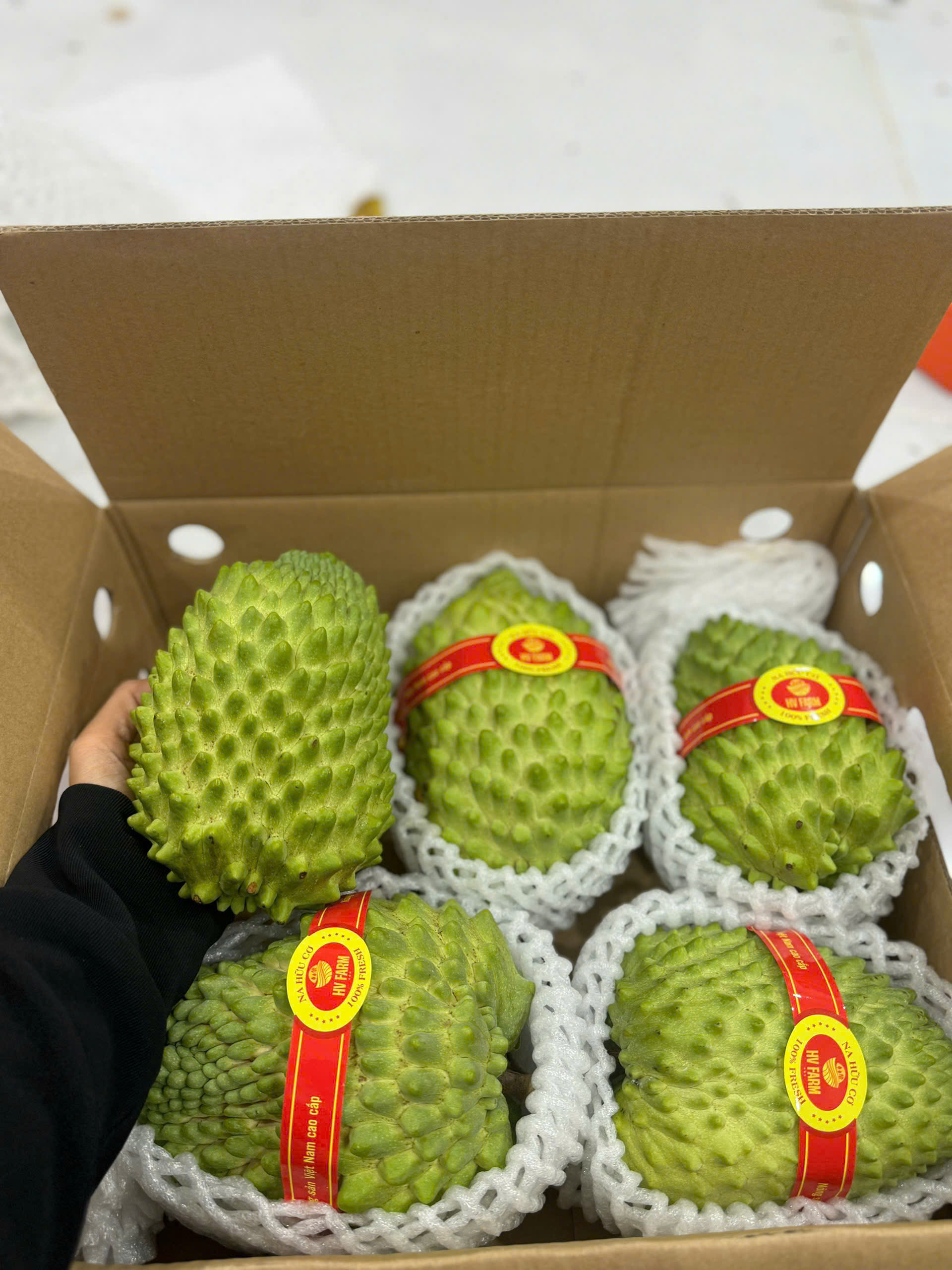 Na Sầu Riêng Đài Loan