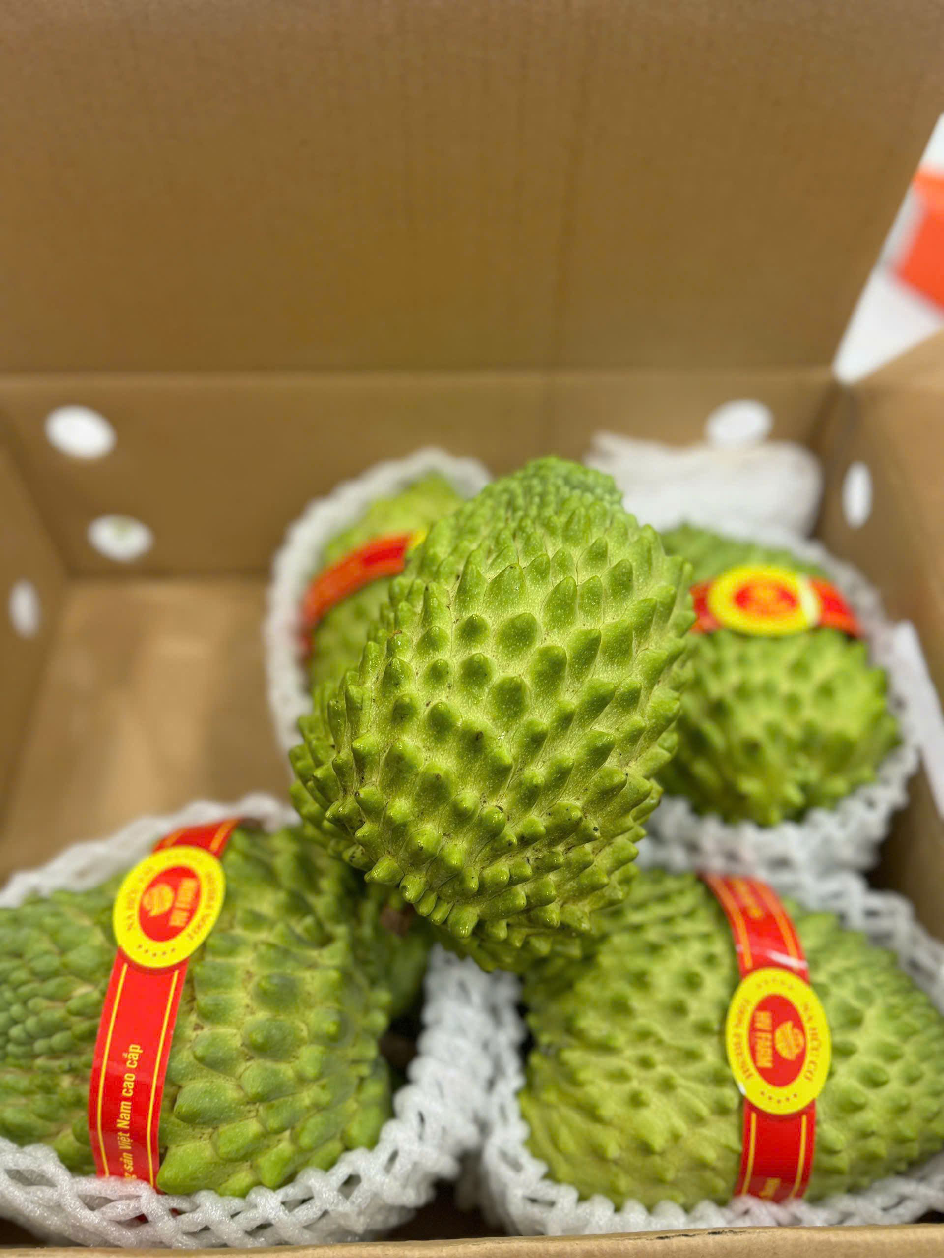 Na Sầu Riêng Đài Loan