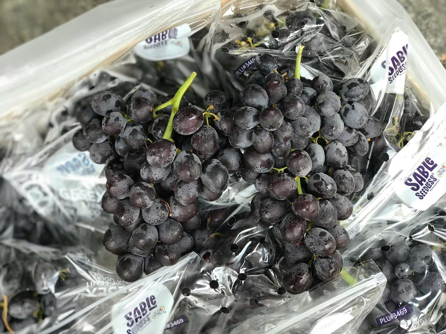 Nho Kẹo Đen Chile