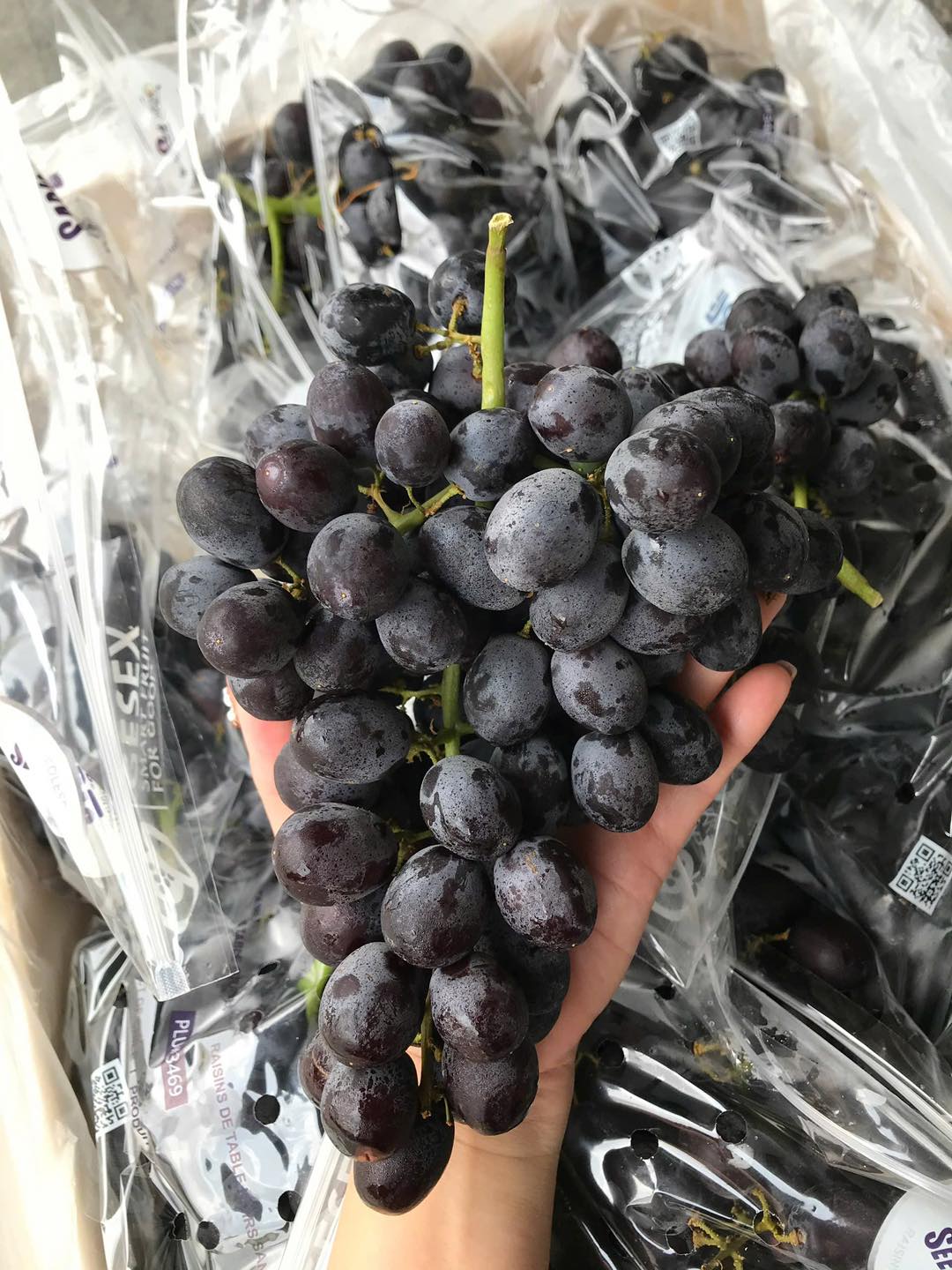 Nho Kẹo Đen Chile