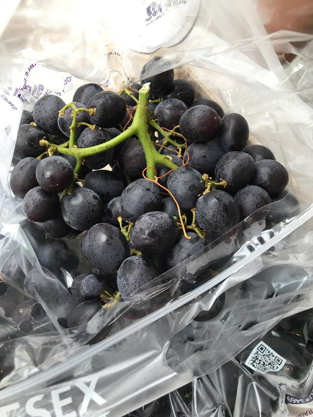 Nho Kẹo Đen Chile