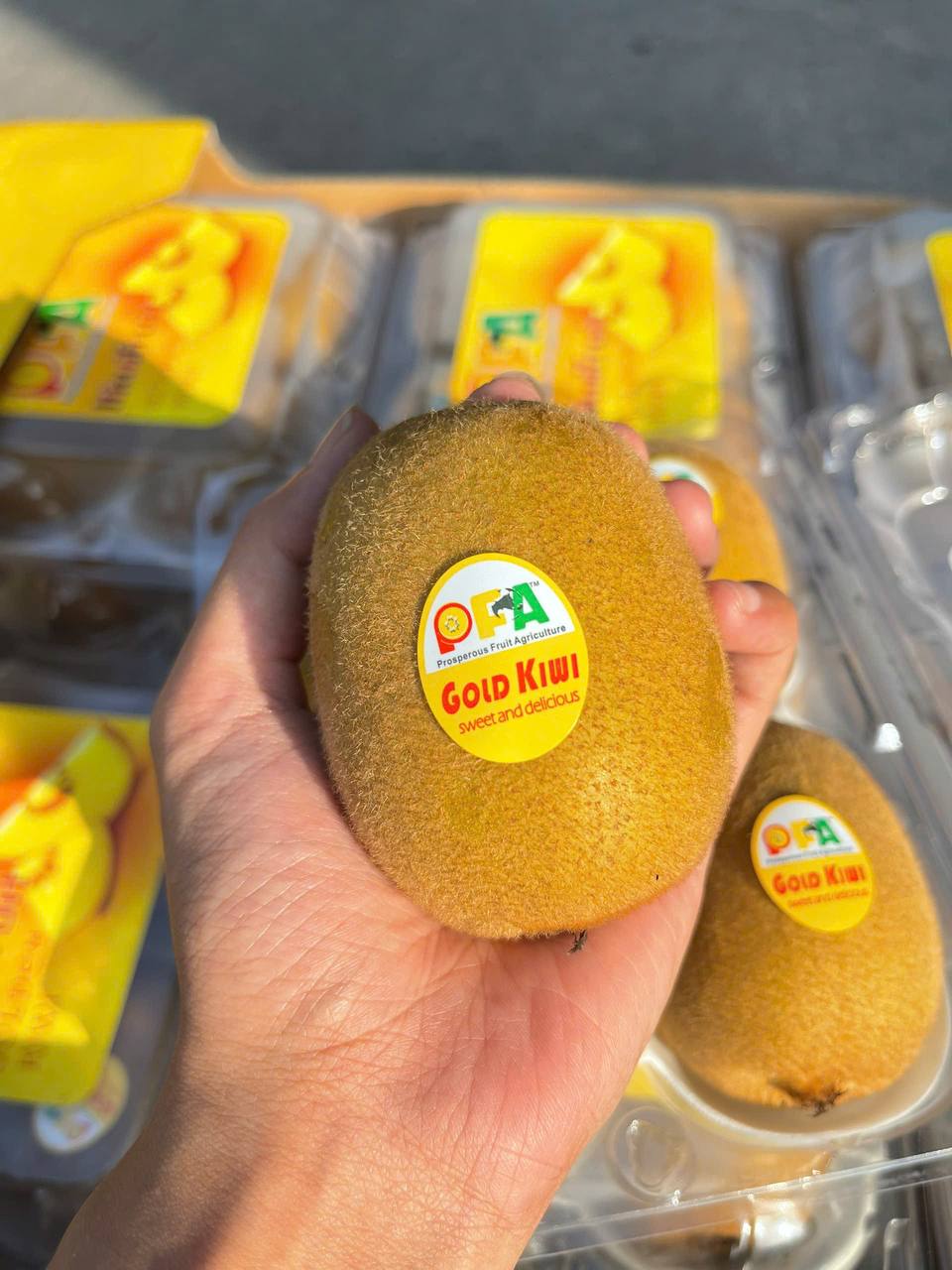 Kiwi Vàng Đài Loan 1 Hộp 500gr