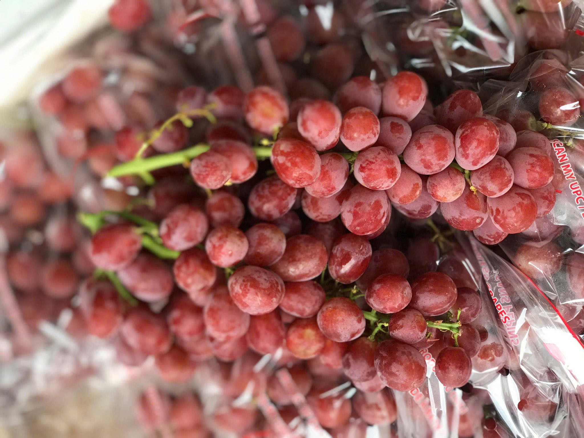 Nho Đỏ Chile Subsole