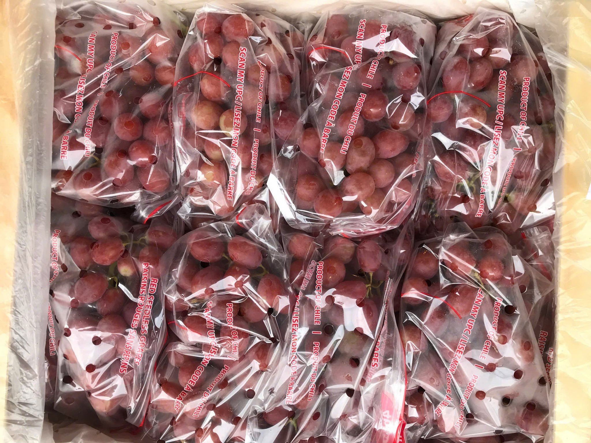 Nho Đỏ Chile Subsole