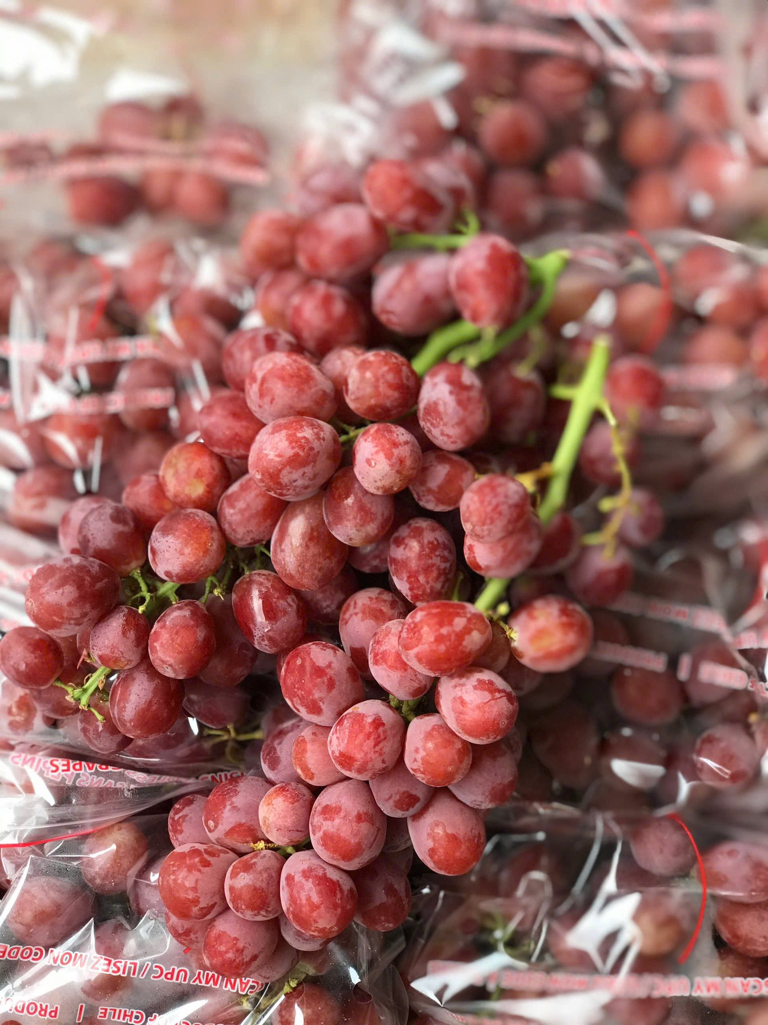 Nho Đỏ Chile Subsole