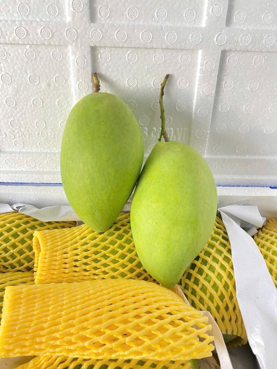 Xoài Cát Hoà Lộc