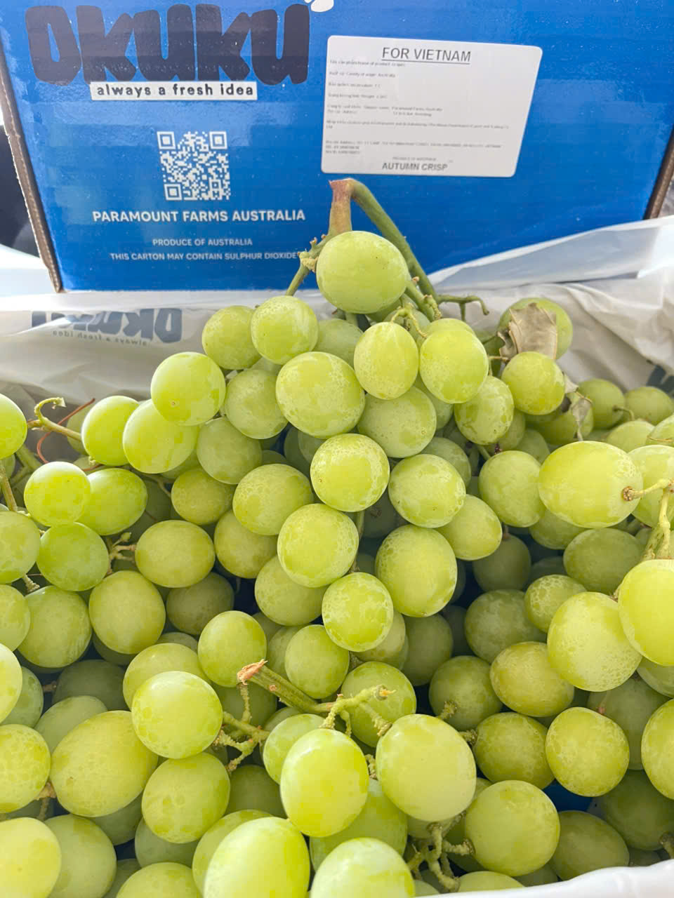 Nho Xanh Úc Okuku Autumn Crips