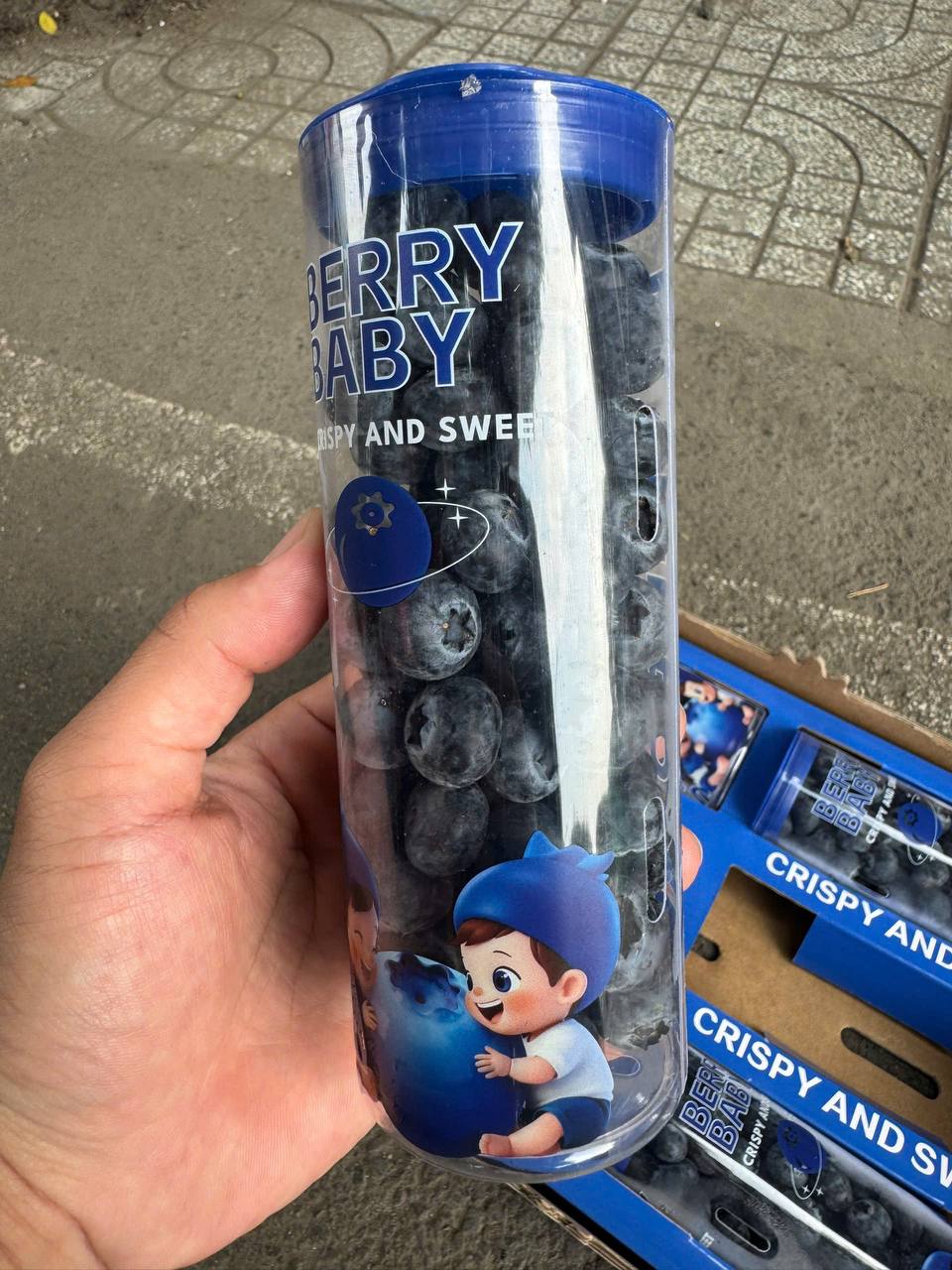 Việt Quất Ống 200gr Size 18+