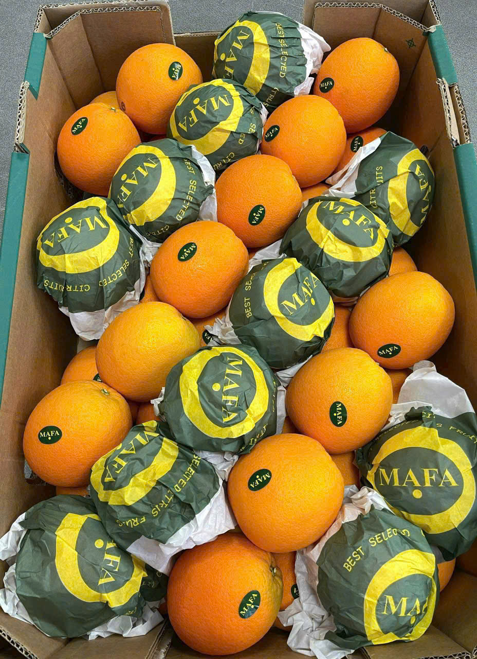 Cam Ai Cập Ruột Vàng