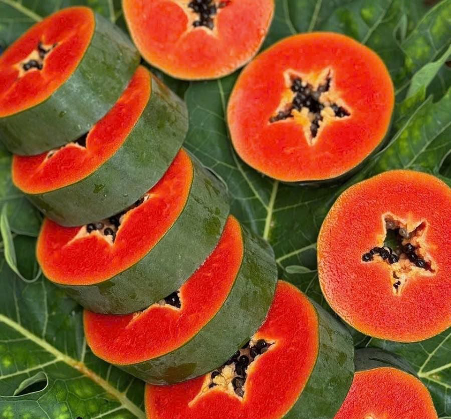 Đu Đủ Thái Phuket Ruột Đỏ 