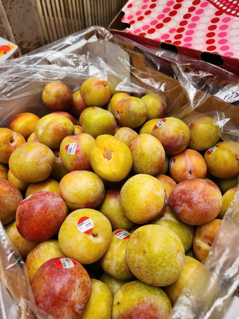 Mận Vàng Úc OCTOBER SUN 