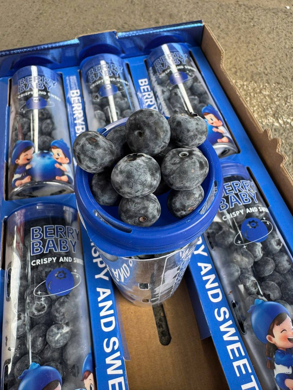 Việt Quất Ống 200gr Size 18+