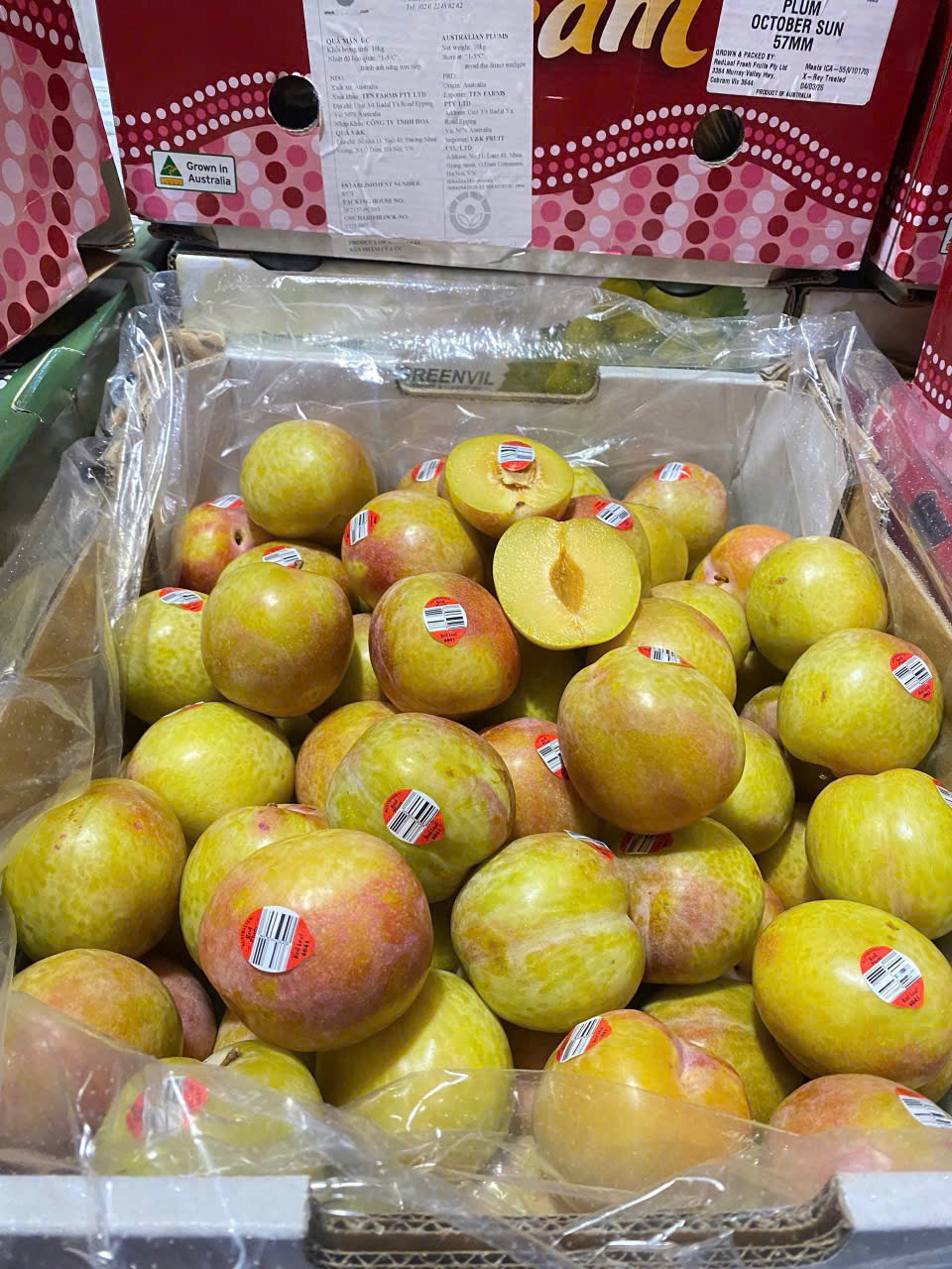 Mận Vàng Úc OCTOBER SUN 