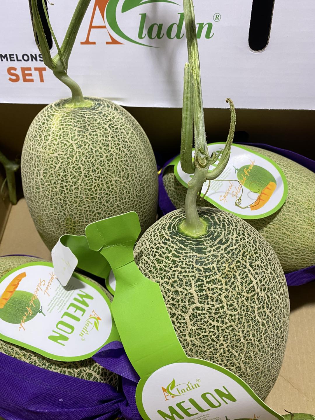 Dưa Lưới Đài Loan Melon