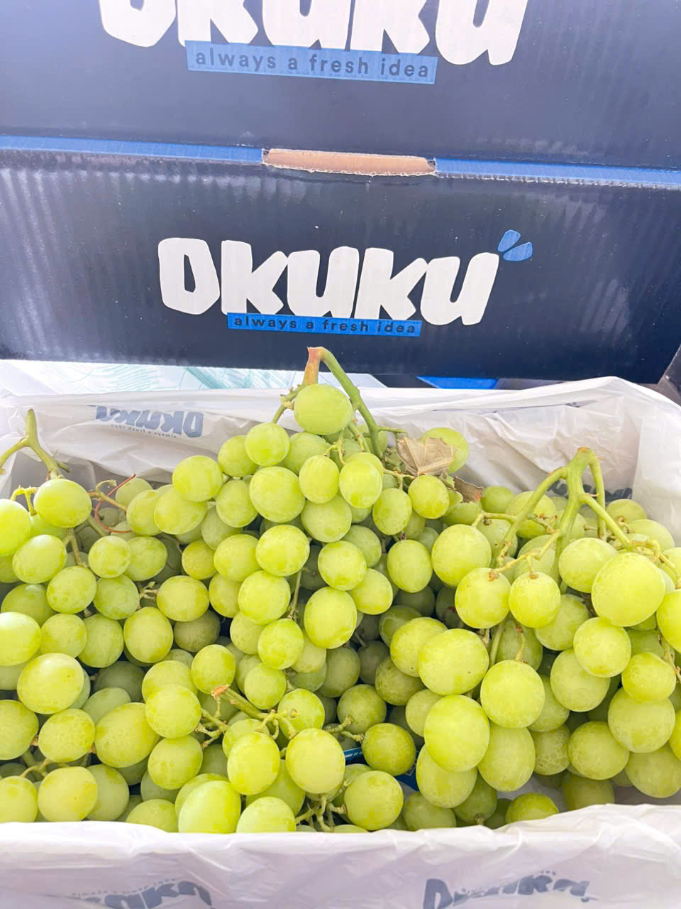 Nho Xanh Úc Okuku Autumn Crips