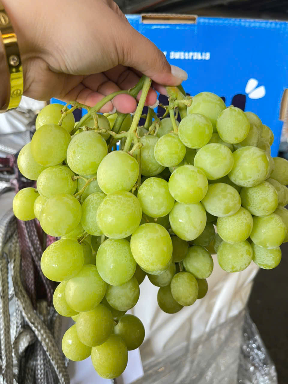 Nho Xanh Úc Okuku Autumn Crips