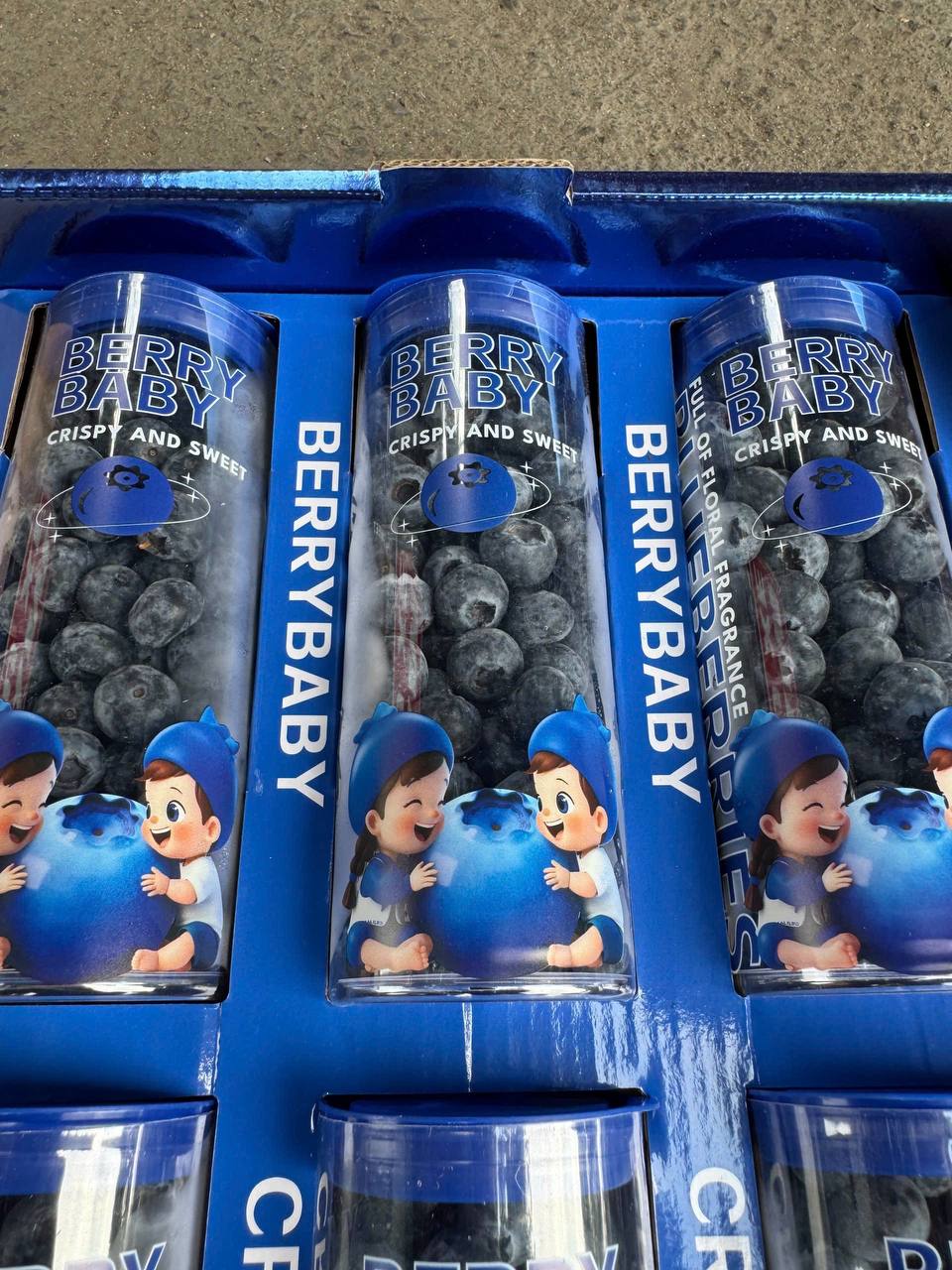 Việt Quất Ống 200gr Size 18+