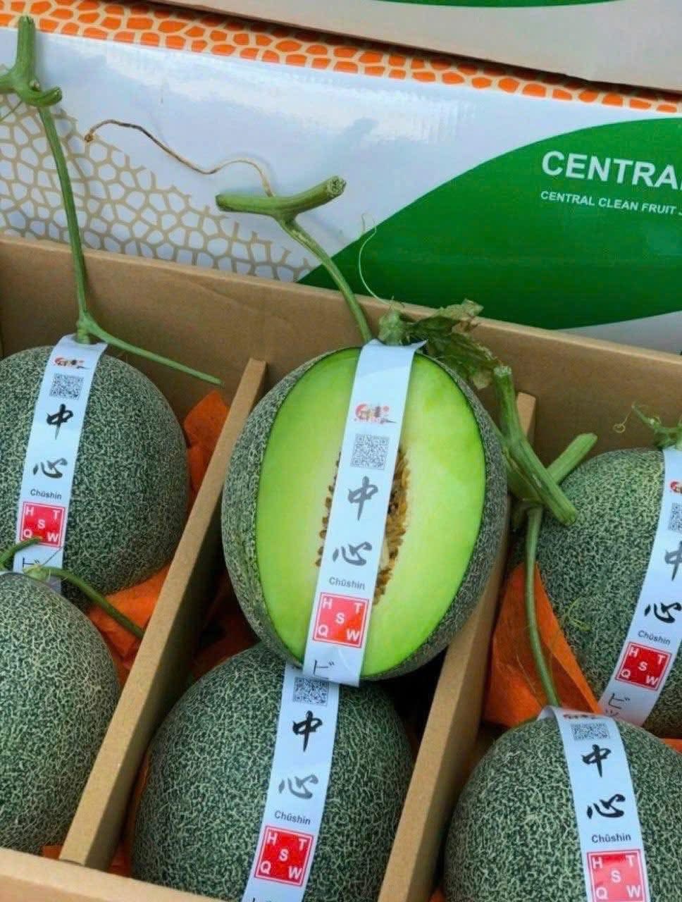 Dưa Lưới Giống Nhật