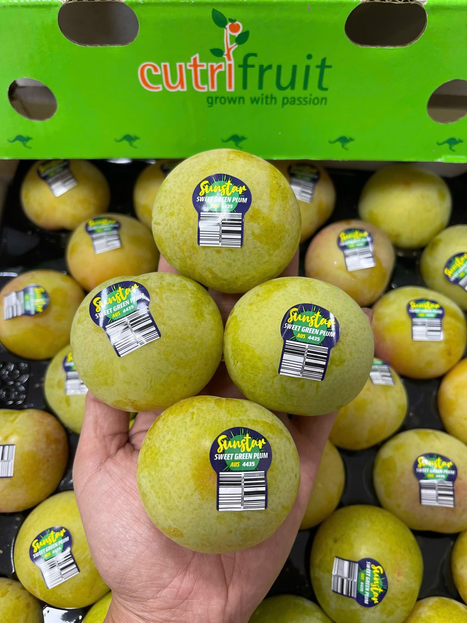 Mận Xanh Úc Sweet