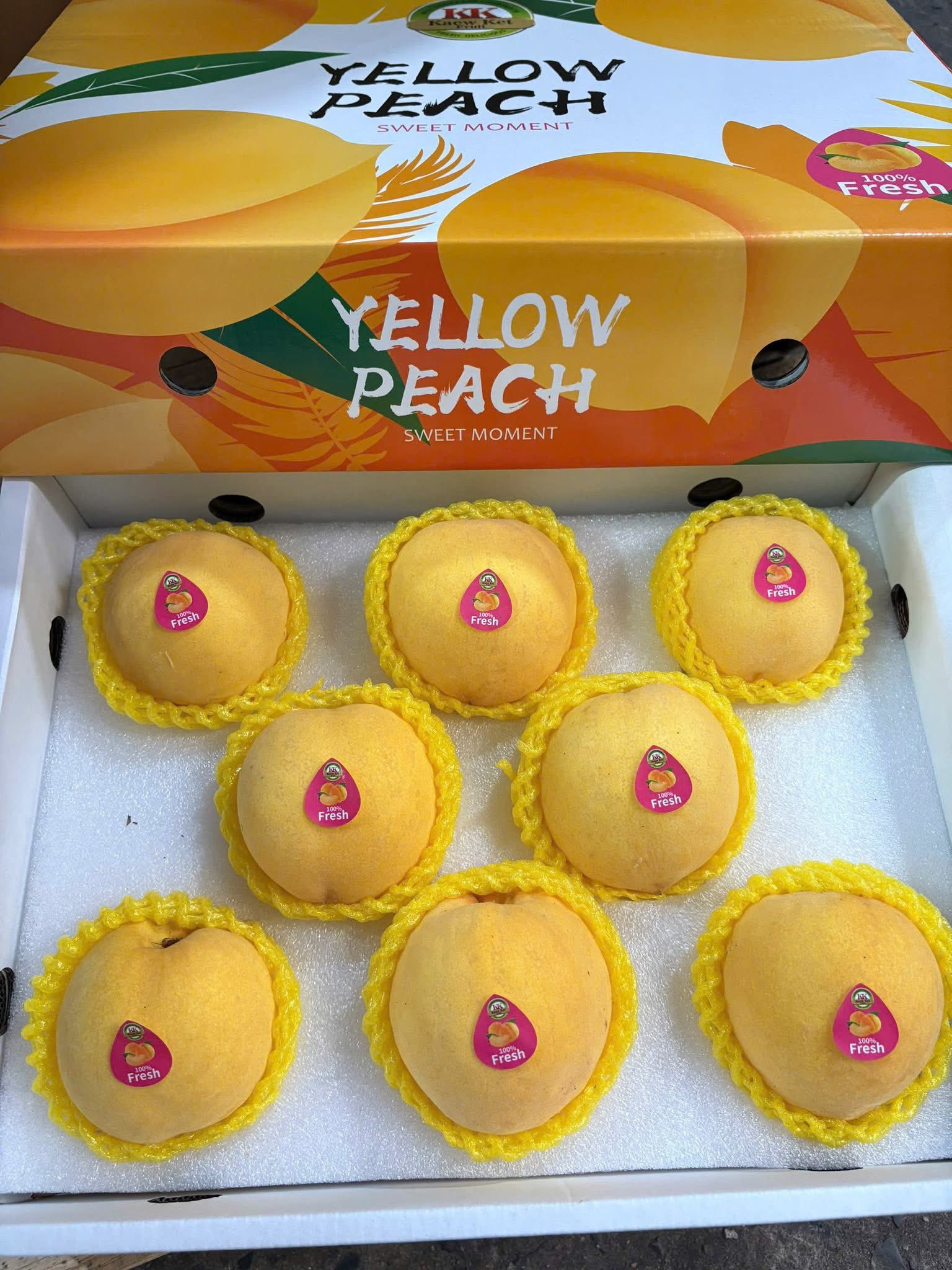 Đào Vàng Bắc Kinh