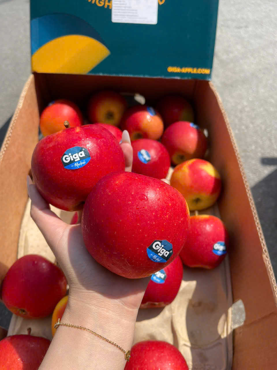 Táo GiGa Nam Phi