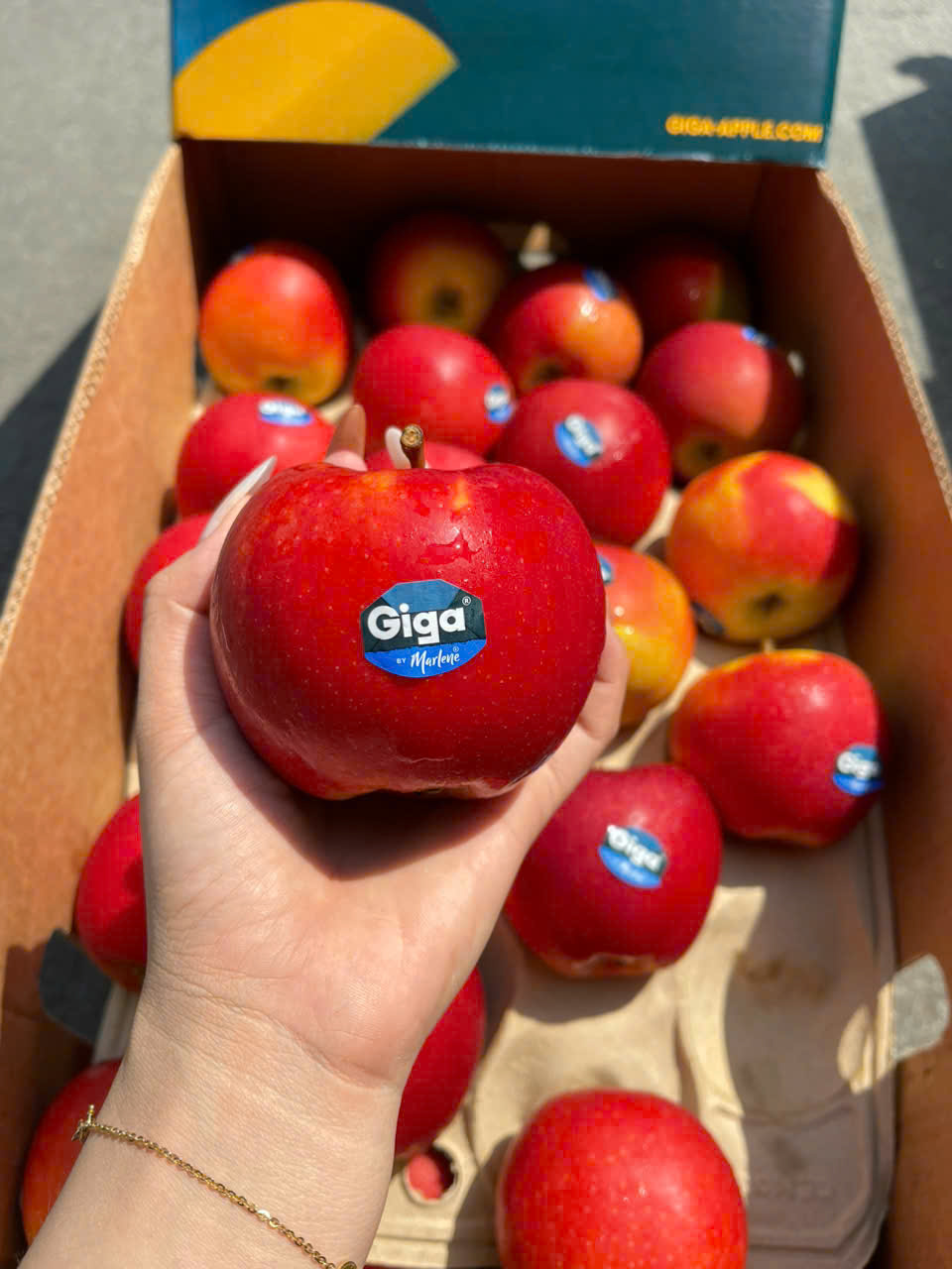 Táo GiGa Nam Phi