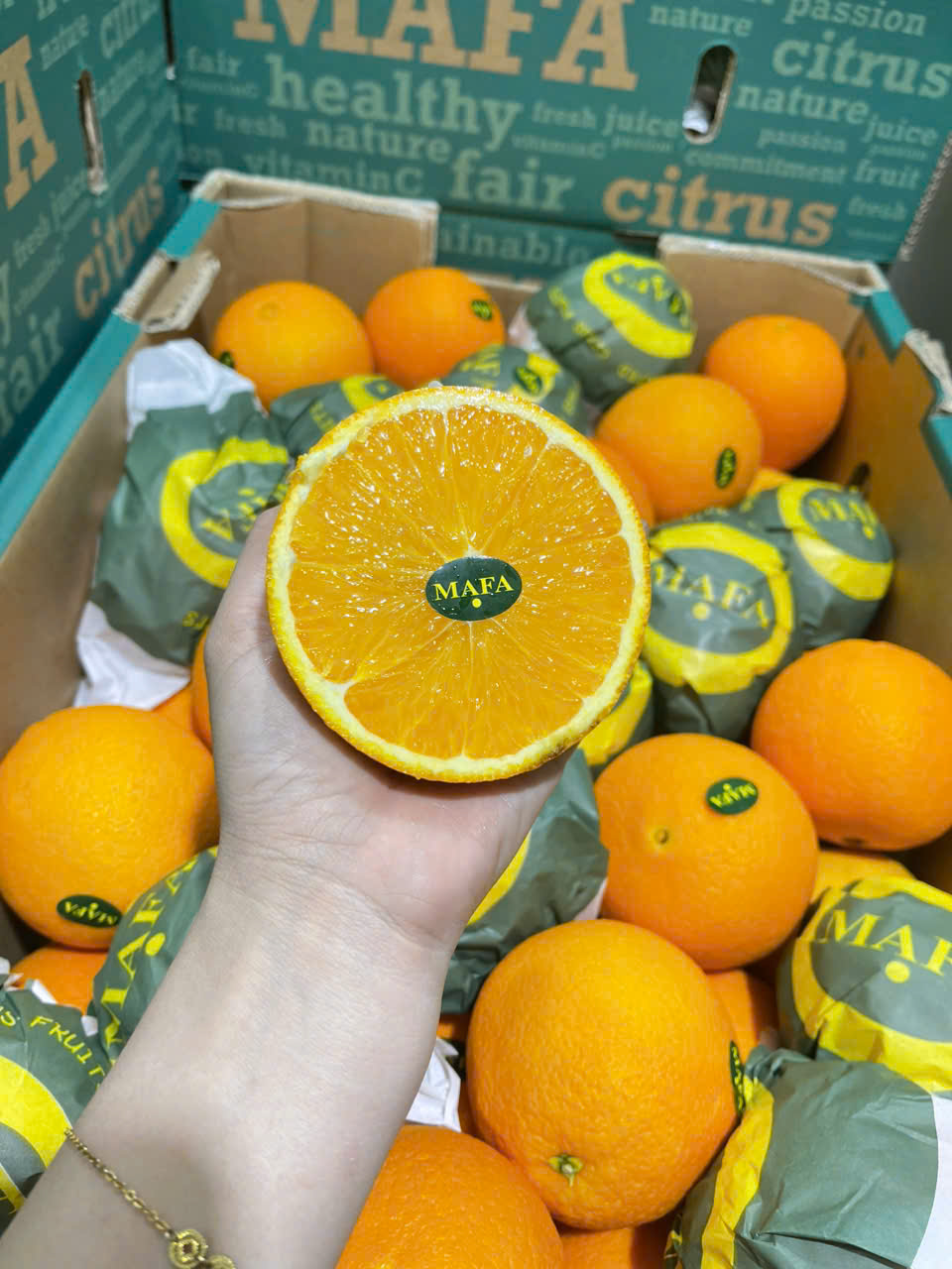 Cam Ai Cập Ruột Vàng