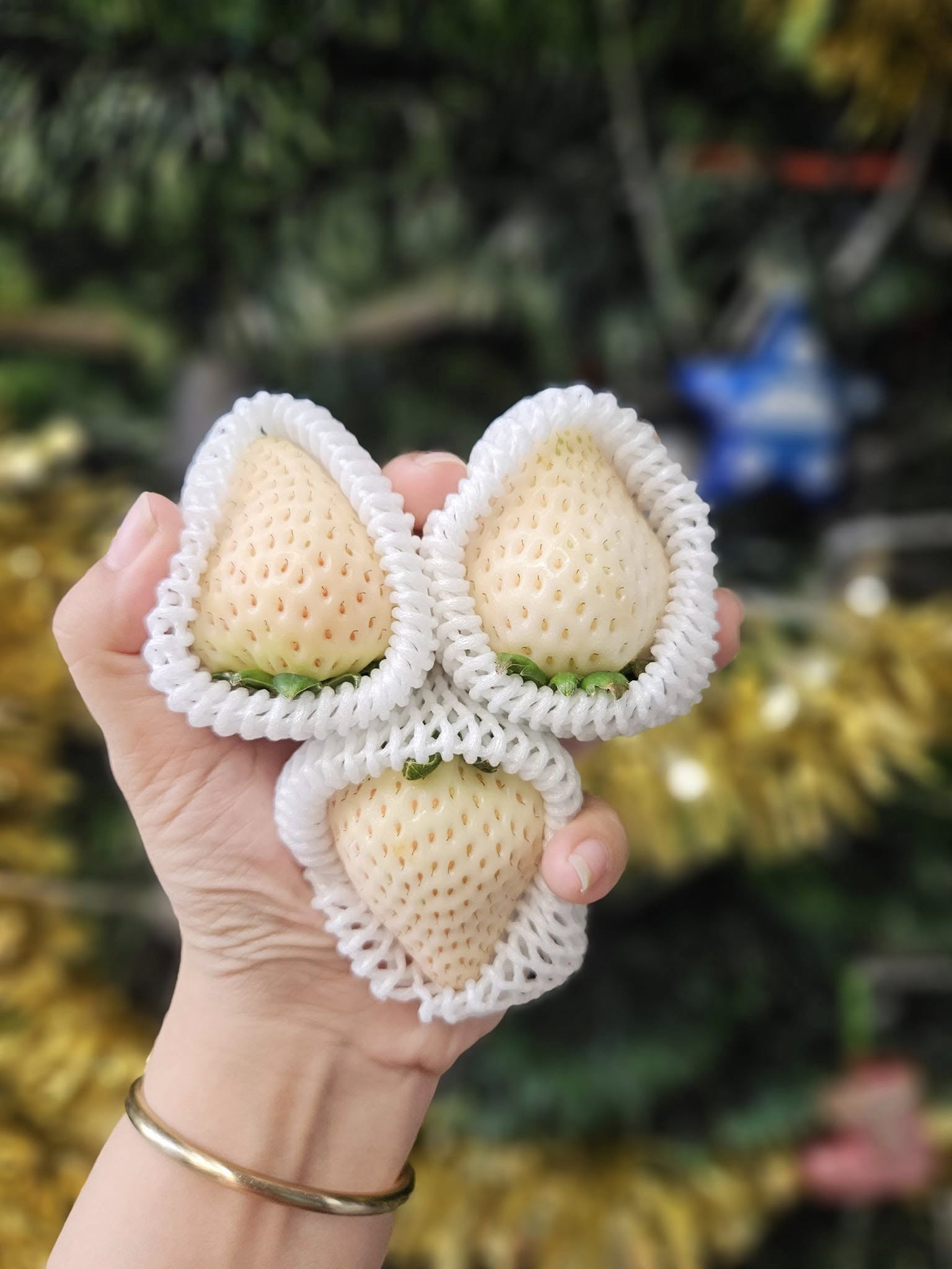 Dâu Bạch Tuyết Hàn Quốc 330gr