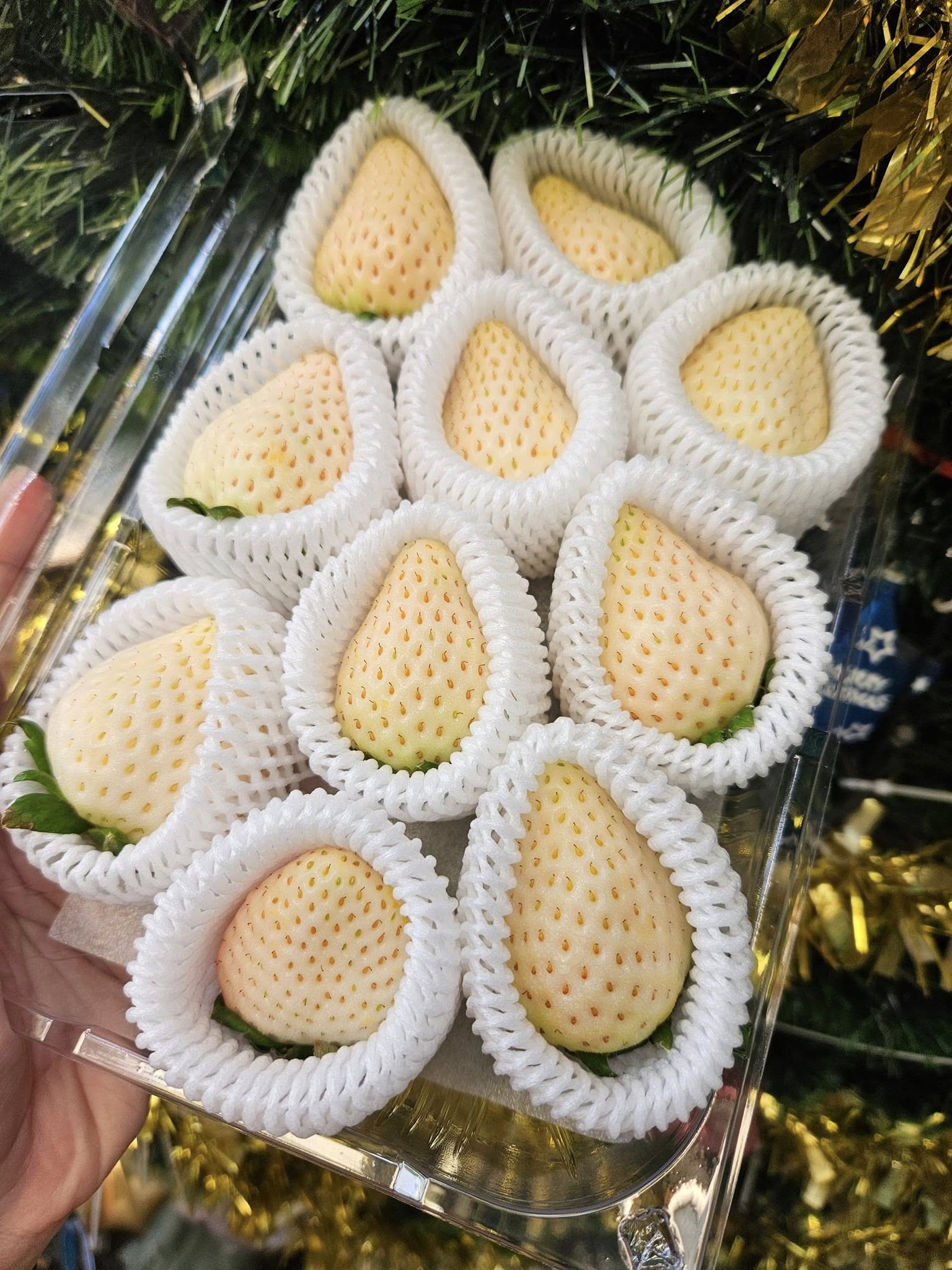 Dâu Bạch Tuyết Hàn Quốc 330gr