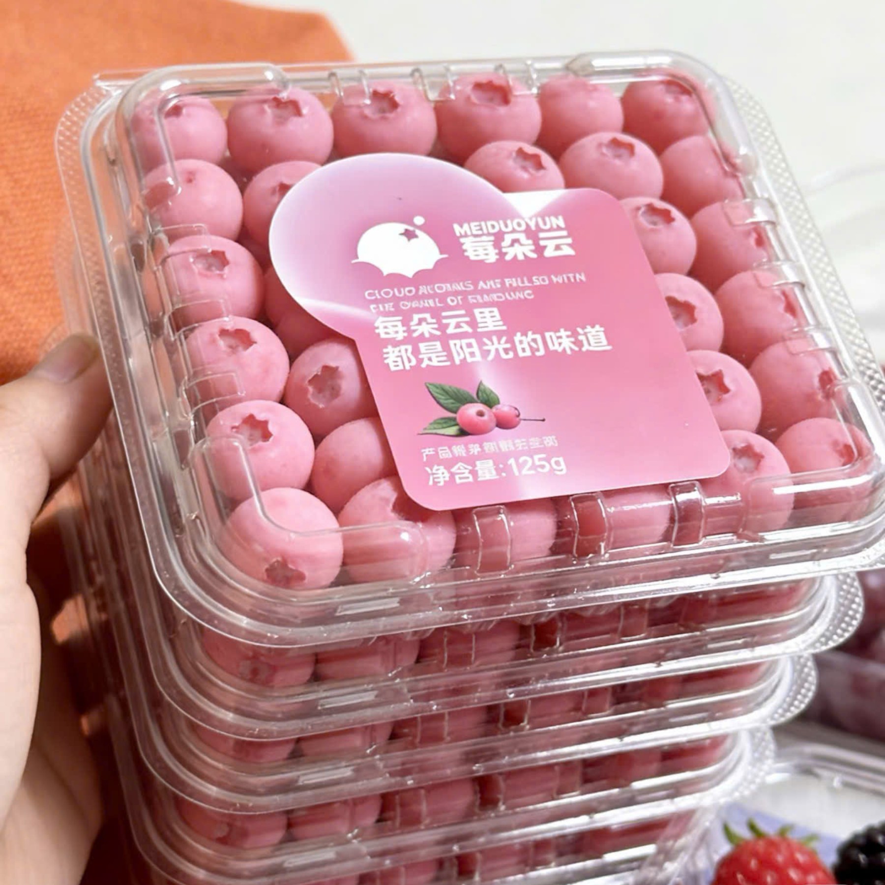 Việt Quất Hồng 