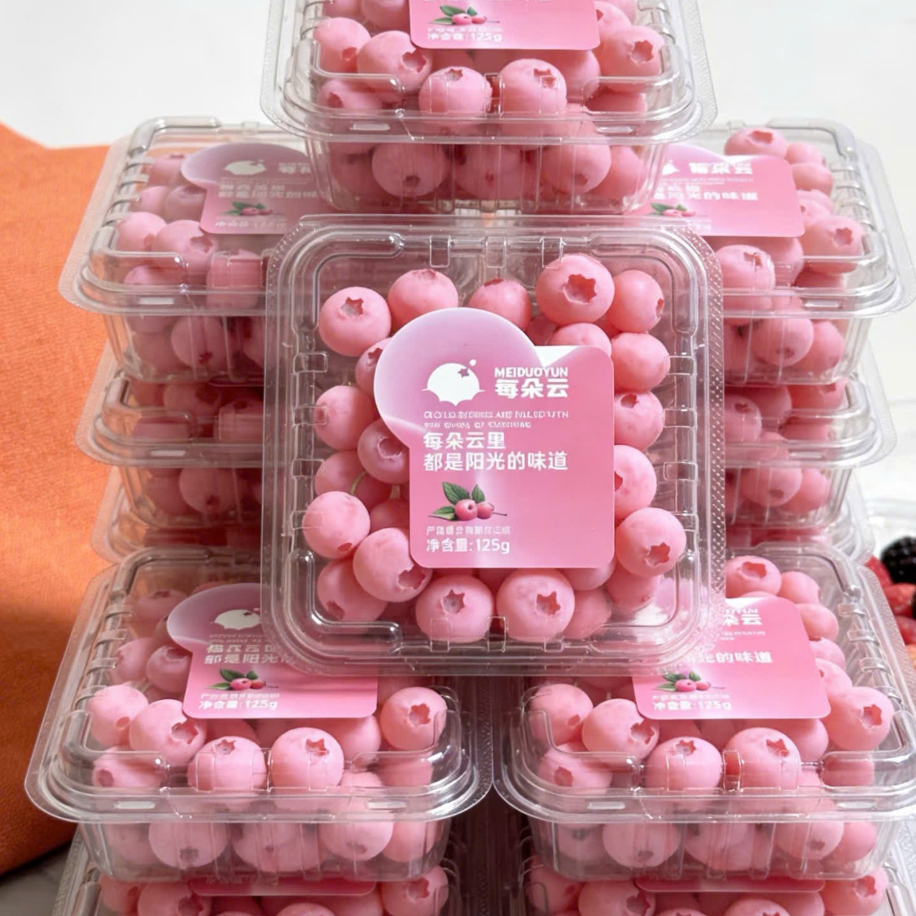 Việt Quất Hồng 