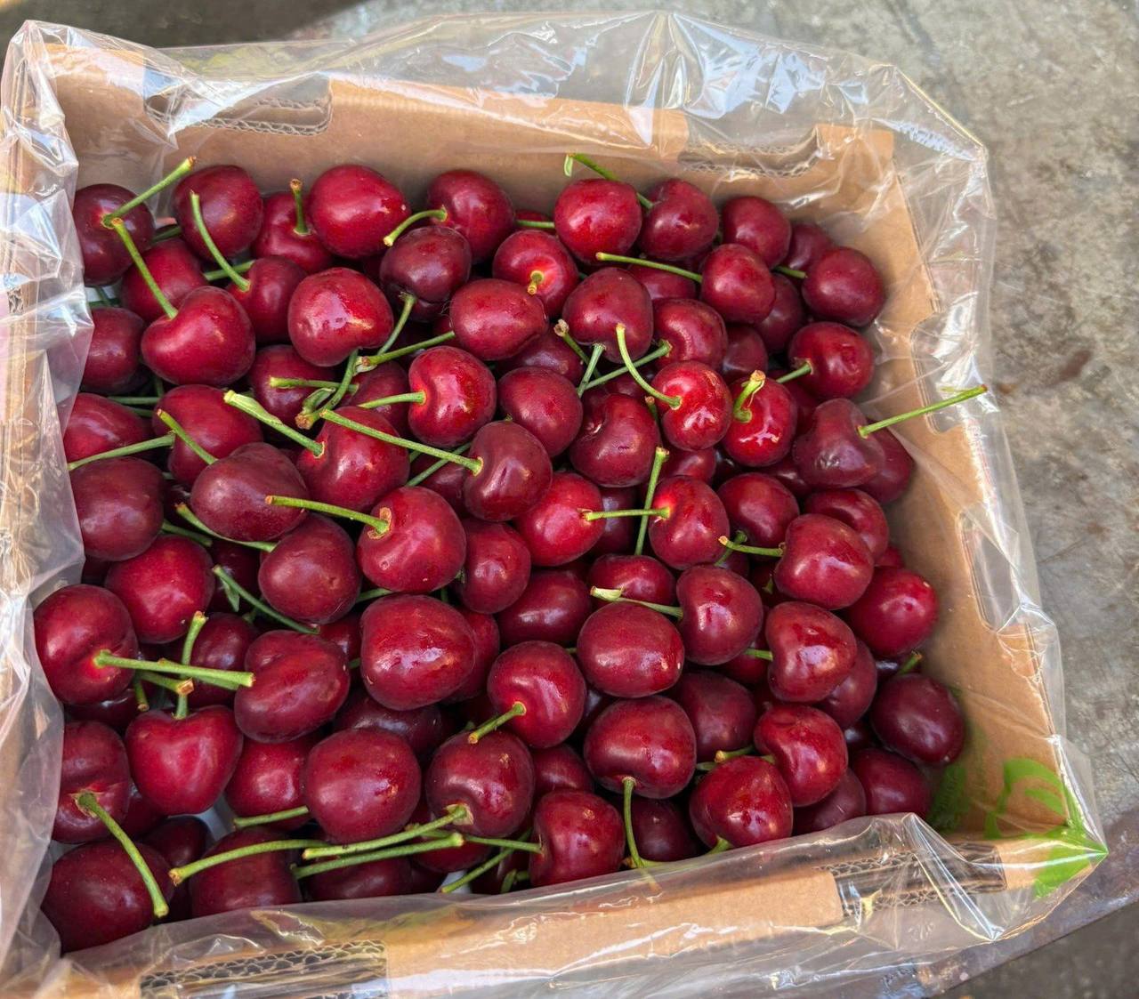 Cherry Nội Địa Trung 3J