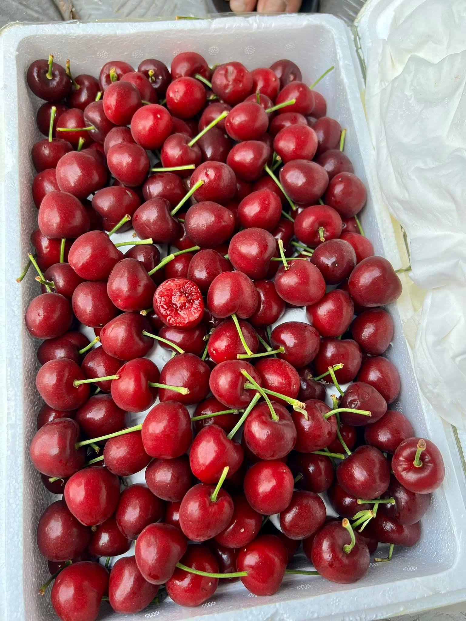 Cherry Nội Địa Trung 3J