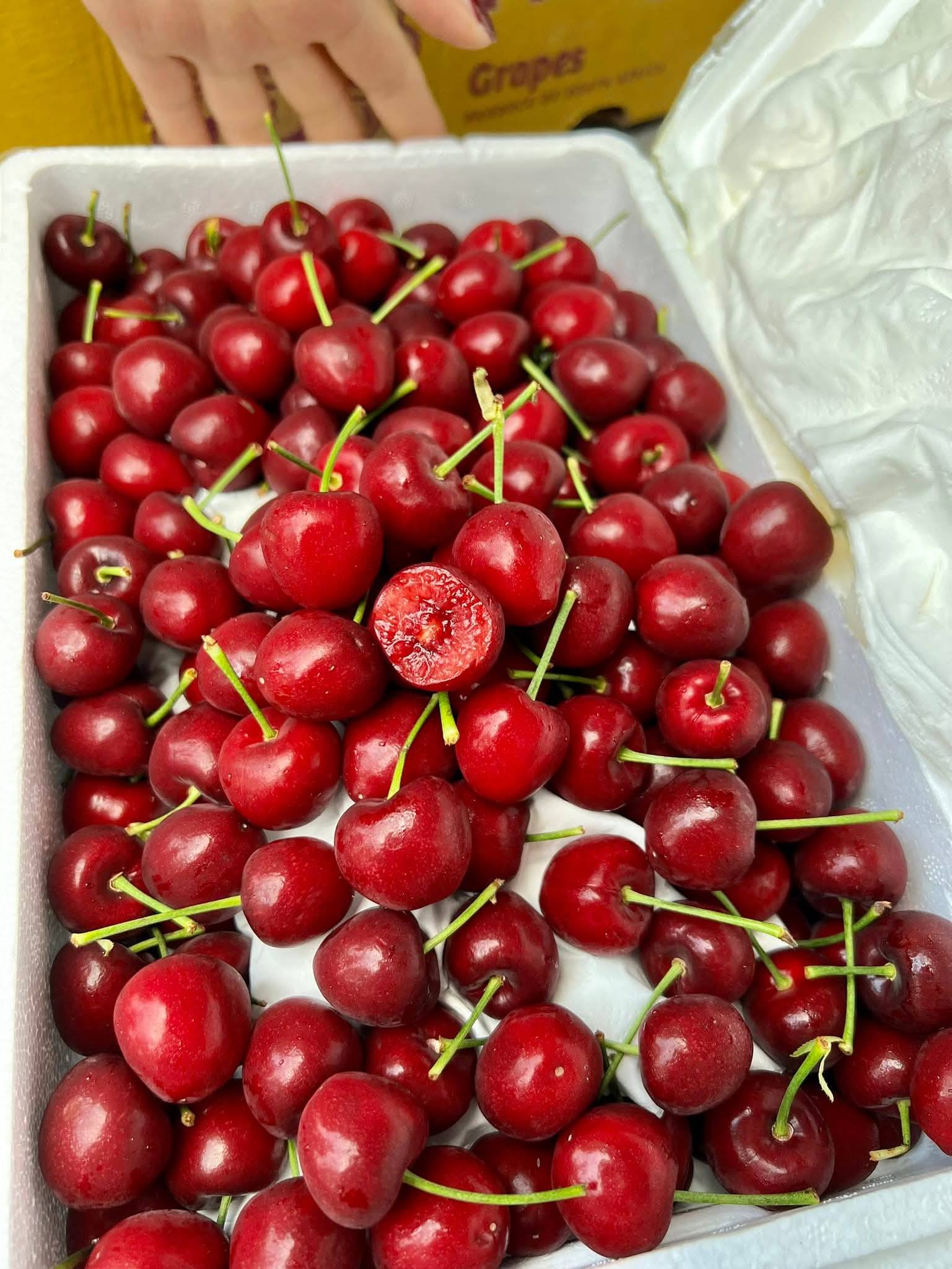 Cherry Nội Địa Trung 3J