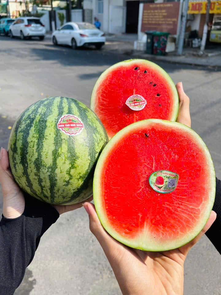 Dưa Hấu Mini Hàn Quốc