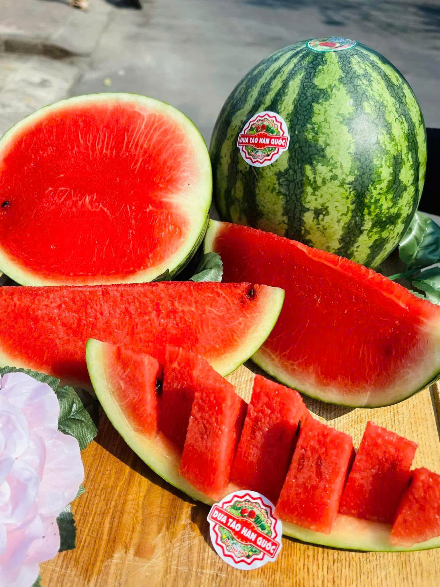 Dưa Hấu Mini Hàn Quốc