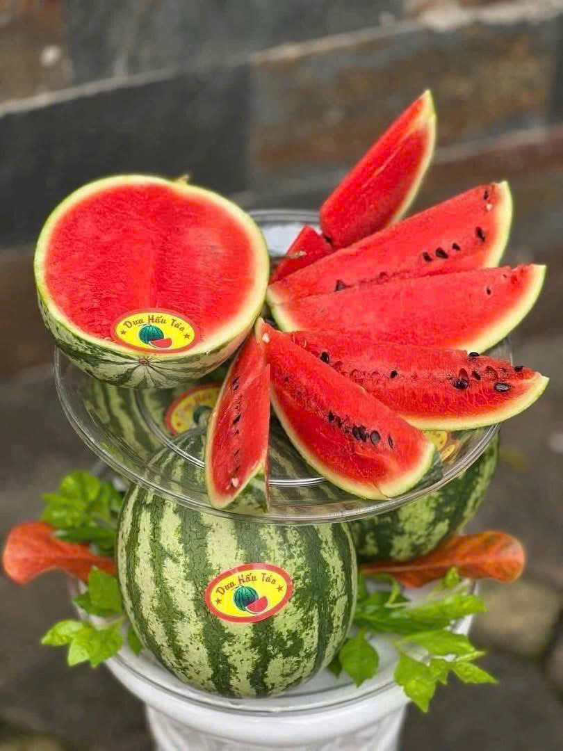 Dưa Hấu Mini Hàn Quốc