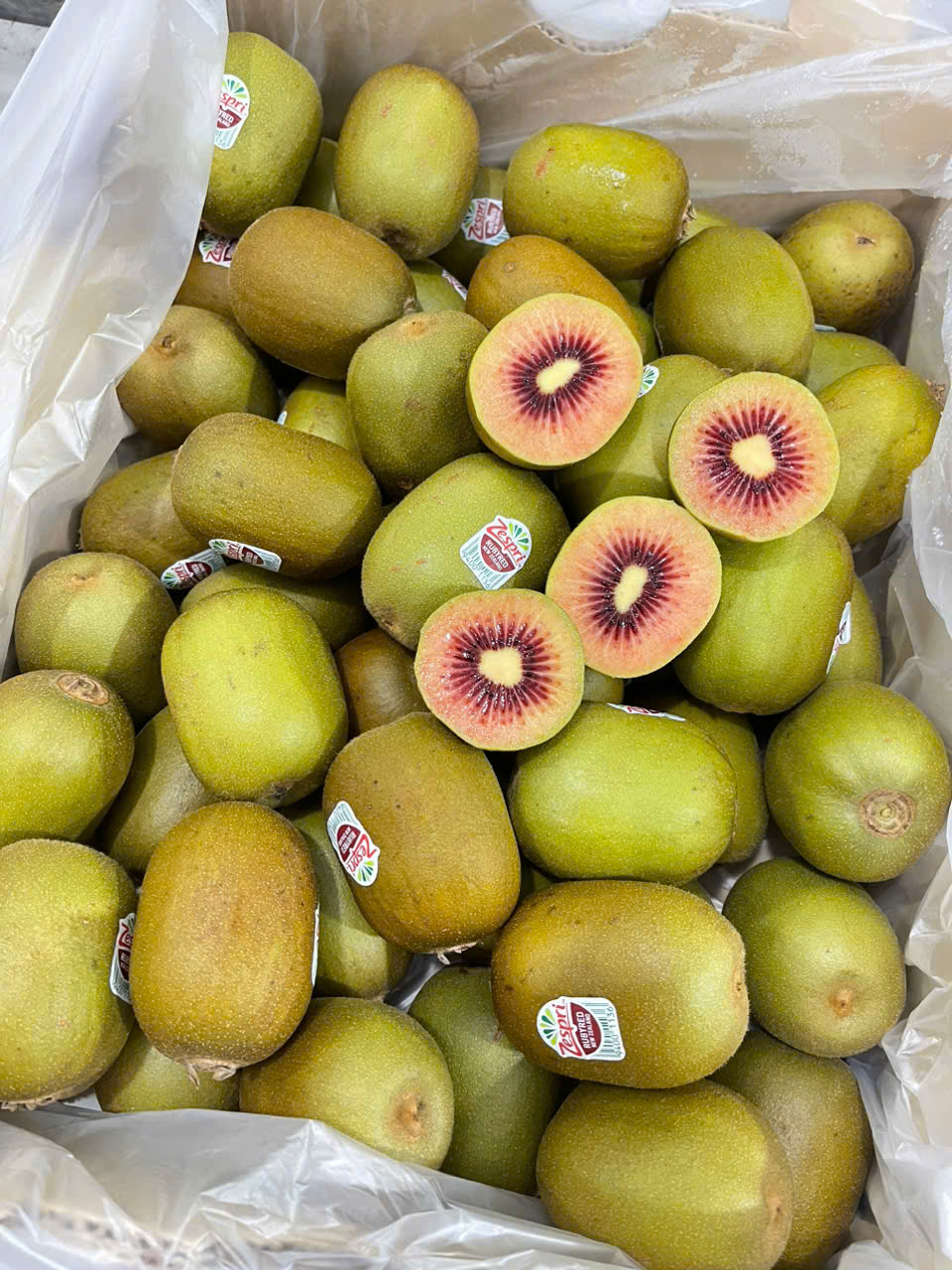 Kiwi Đỏ New Zealand 