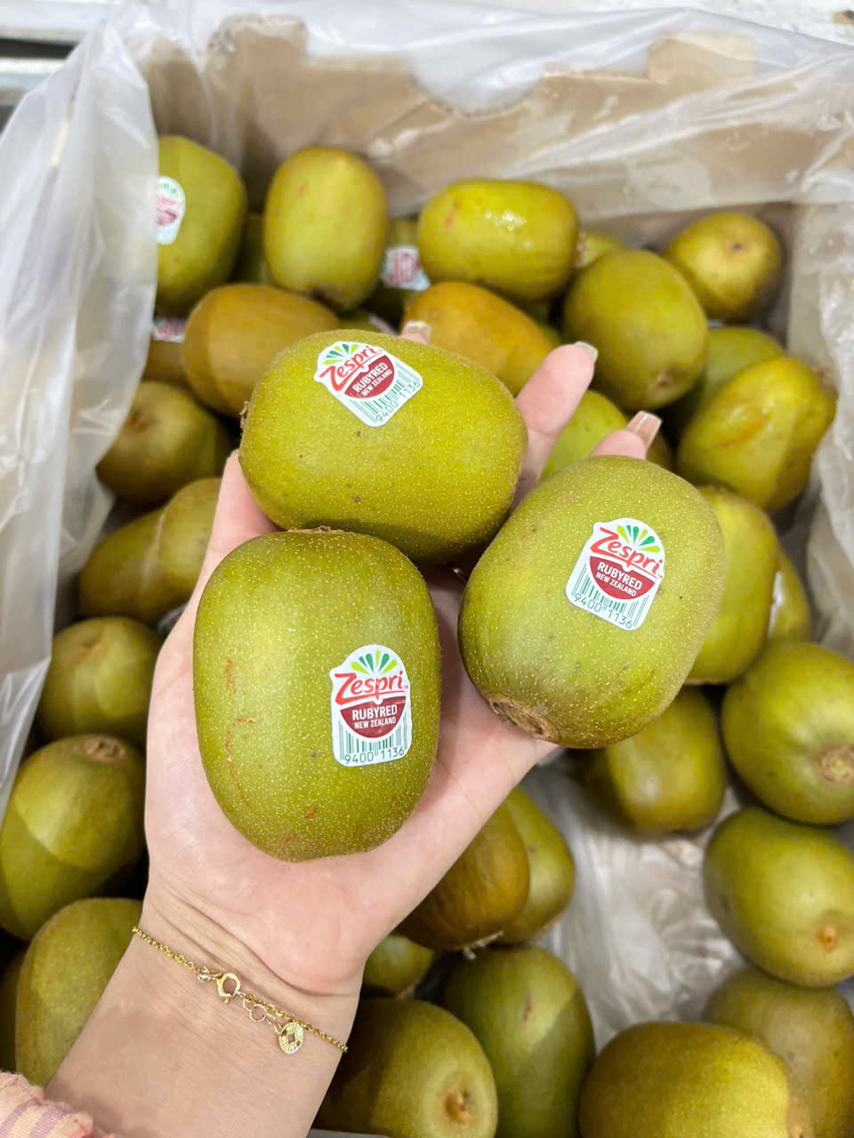 Kiwi Đỏ New Zealand 