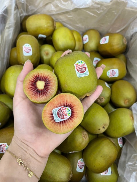 Kiwi Đỏ New Zealand