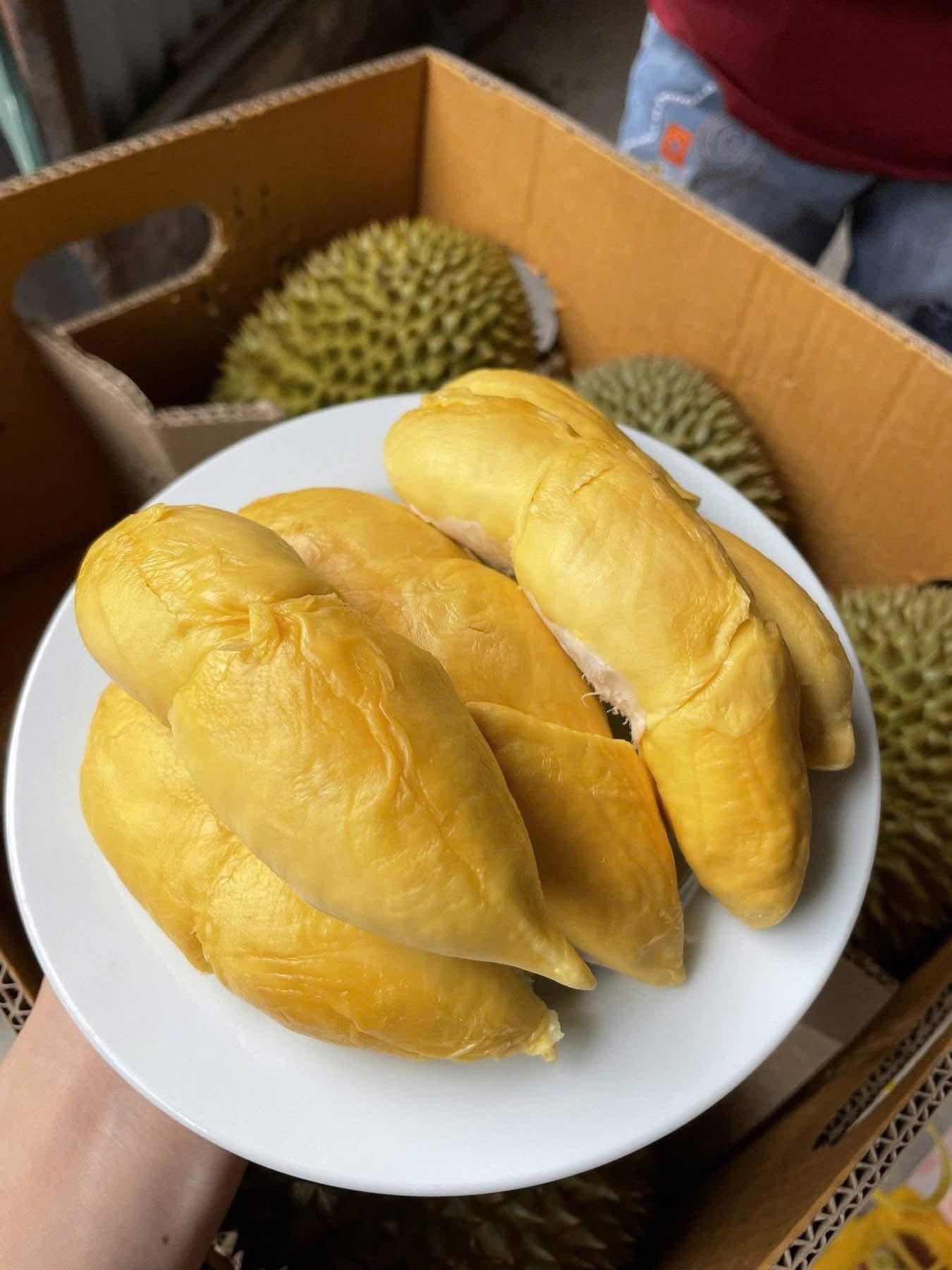 Sầu Riêng Thái Lan Fumani