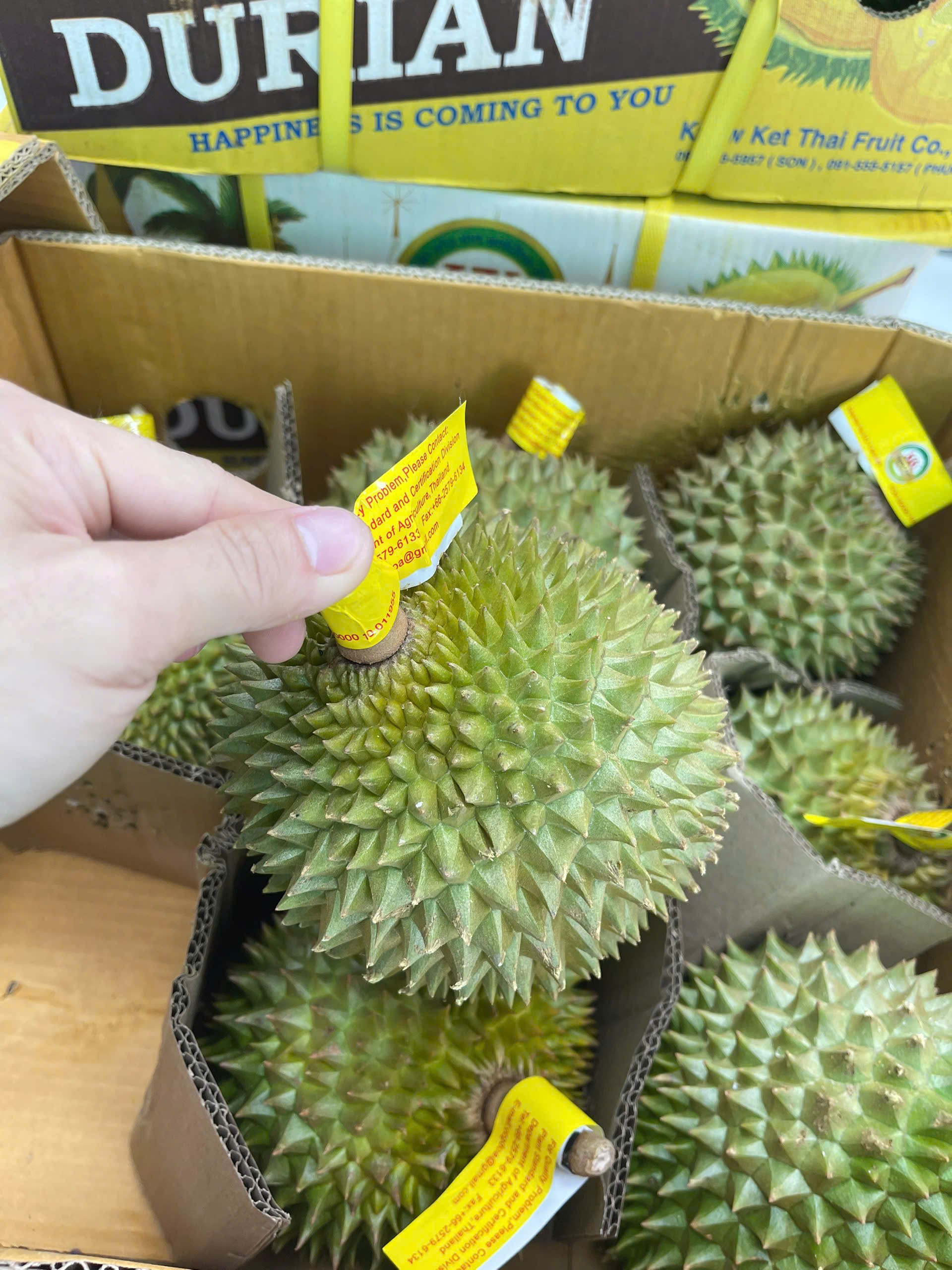 Sầu Riêng Thái Lan Fumani