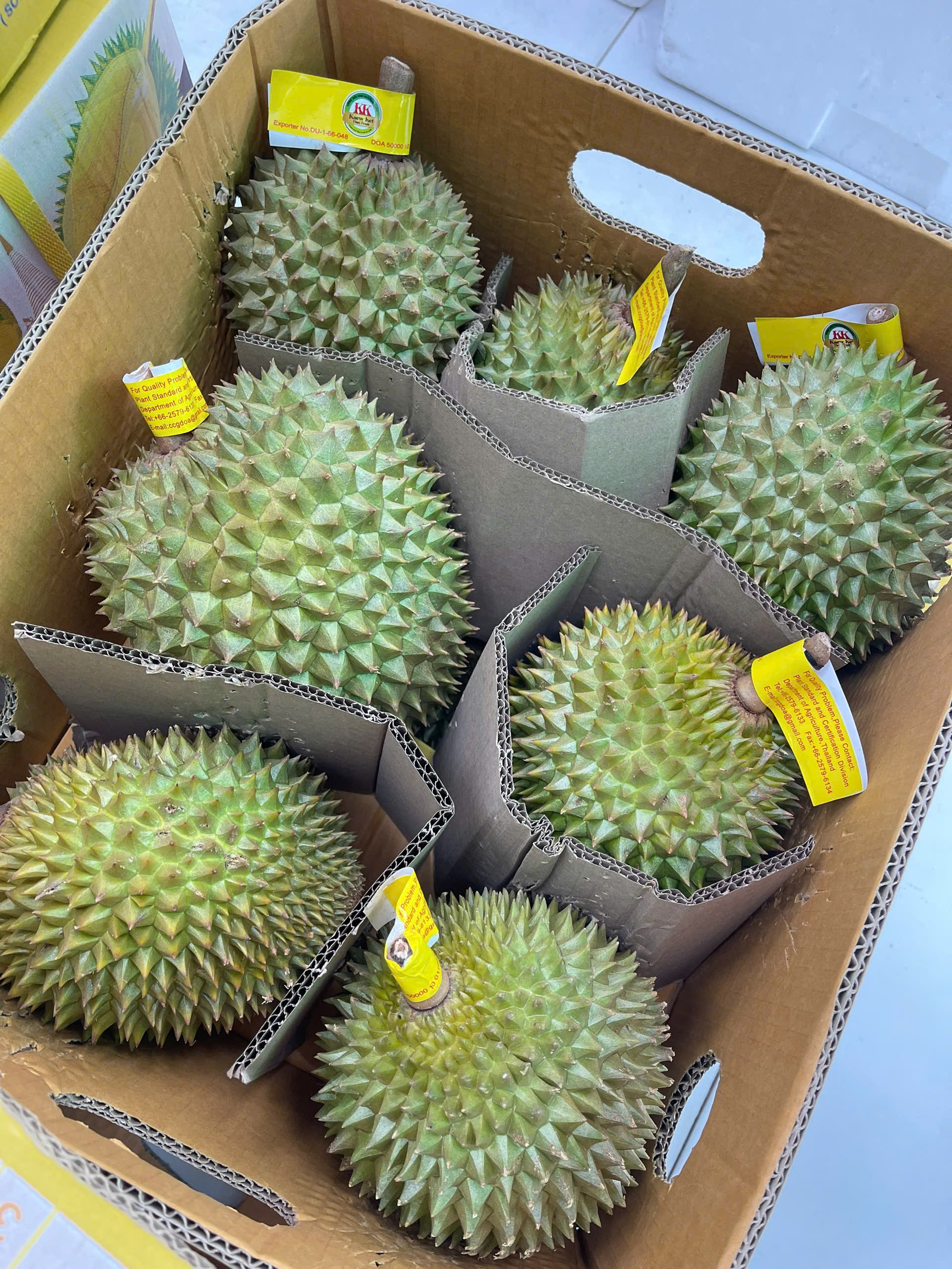 Sầu Riêng Thái Lan Fumani