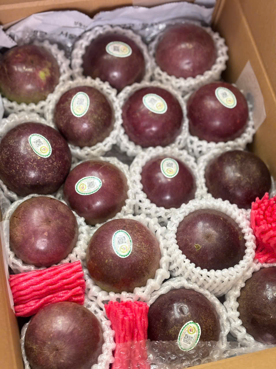 Vú Sữa Bách Thảo