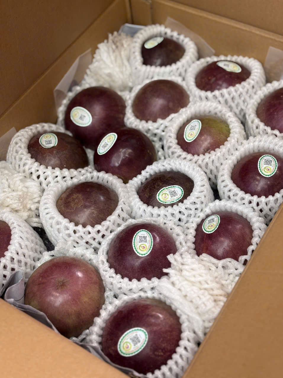 Vú Sữa Bách Thảo